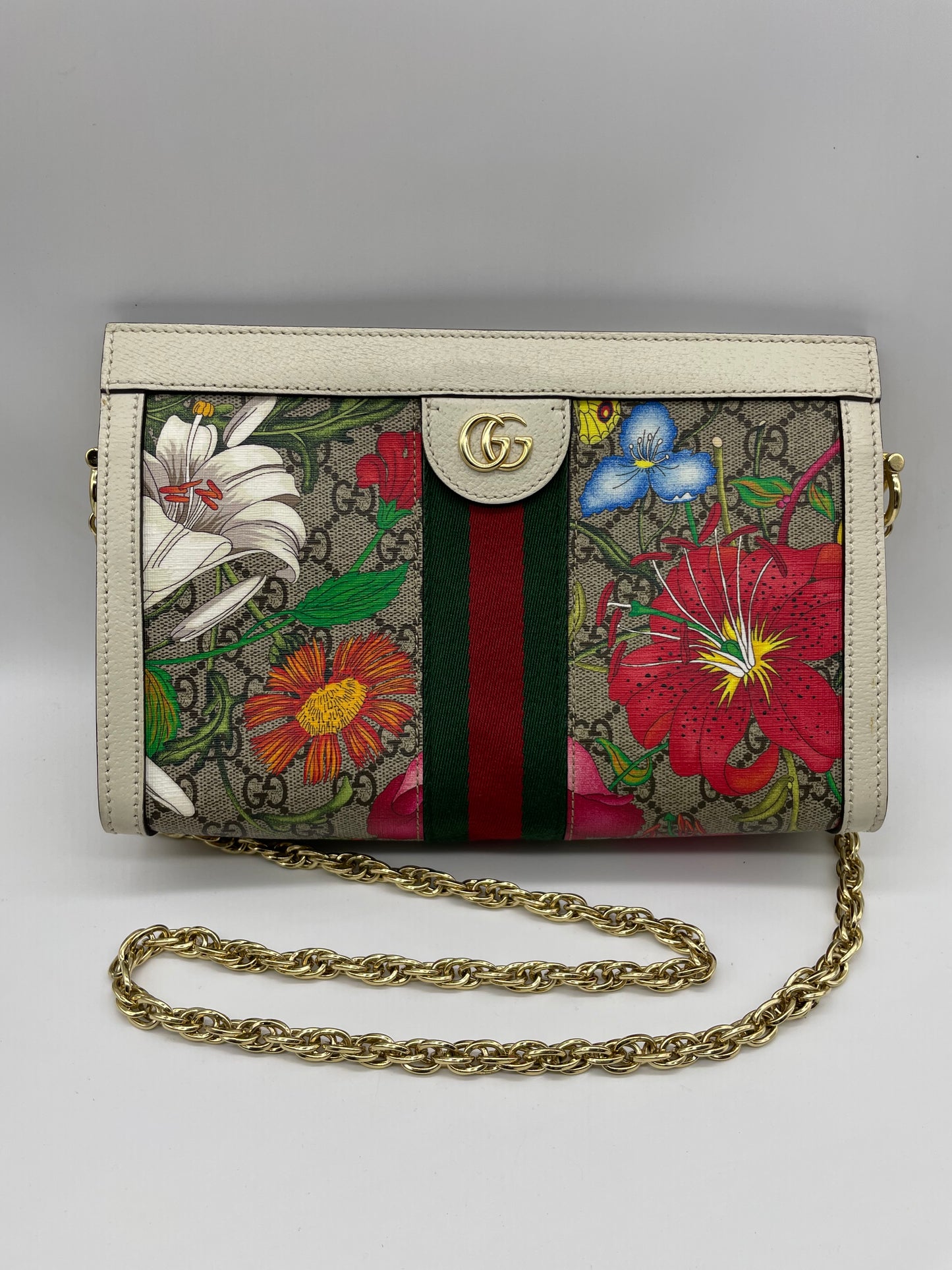 Gucci Supreme Bag