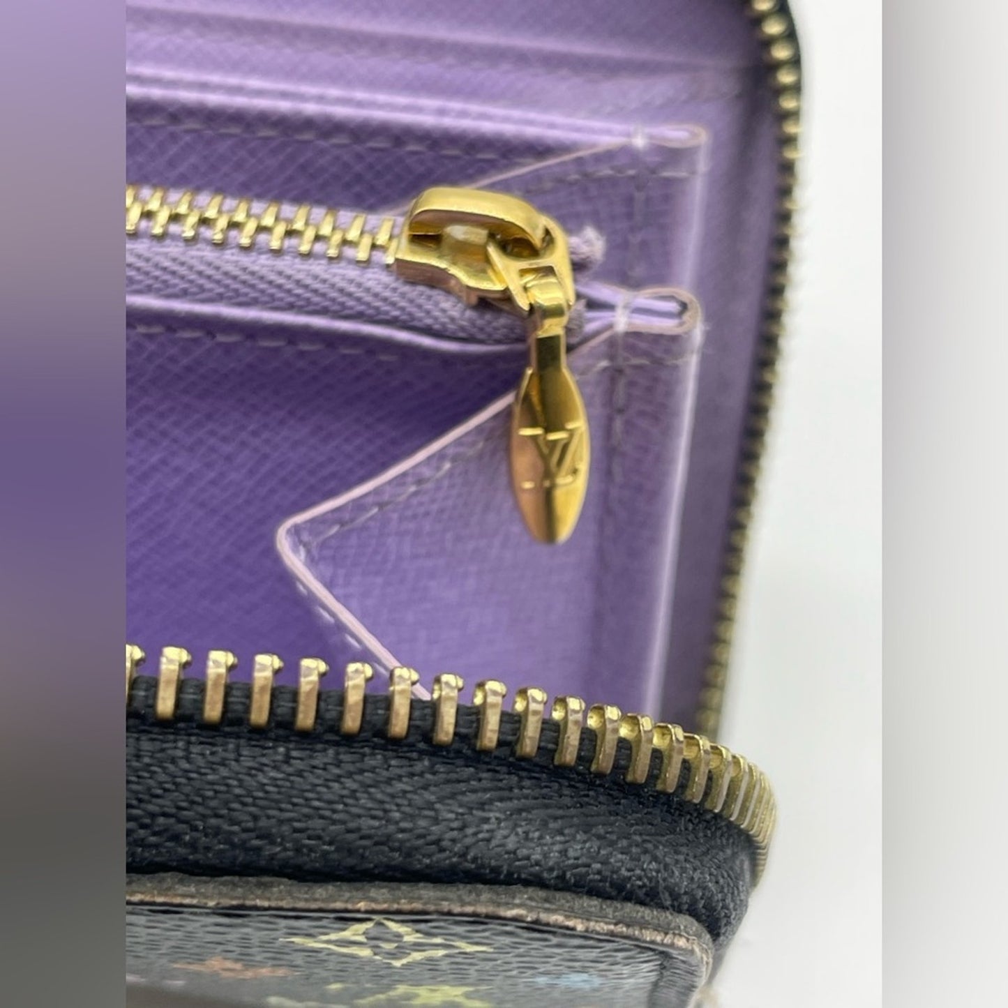 Louis Vuitton Multi Color Long Zippy Wallet
