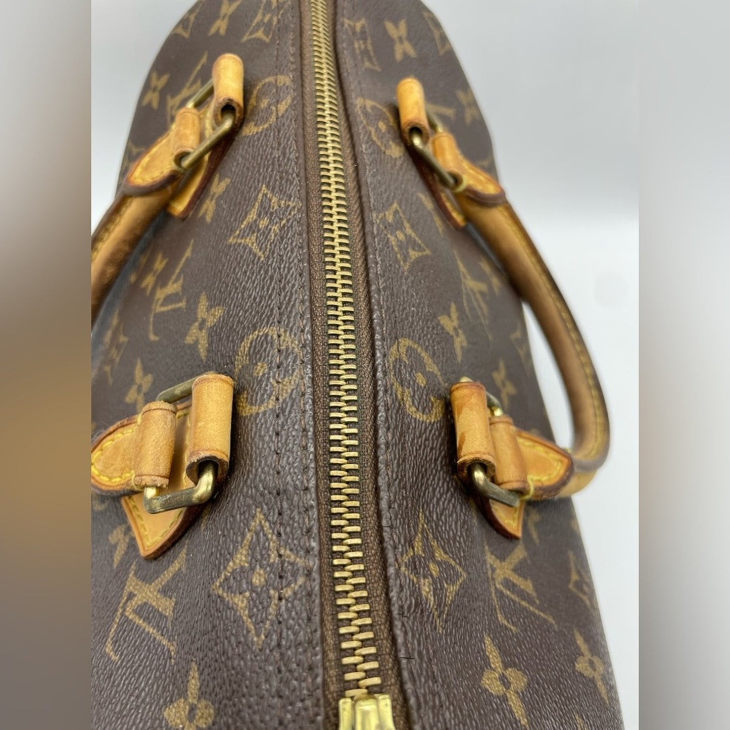Louis Vuitton Monogram Speedy 25 HandBag