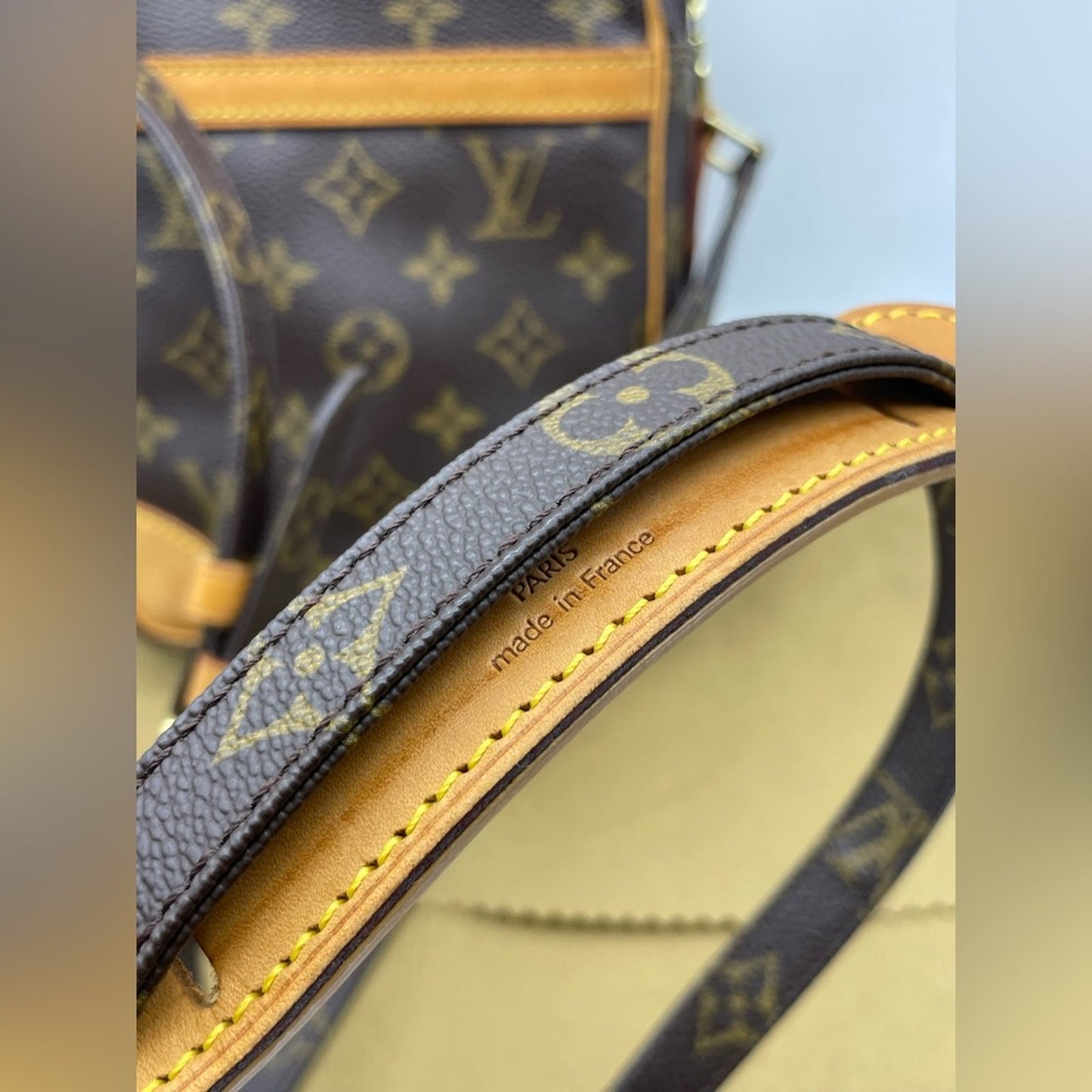 Louis Vuitton Monogram Danube Sling Bag