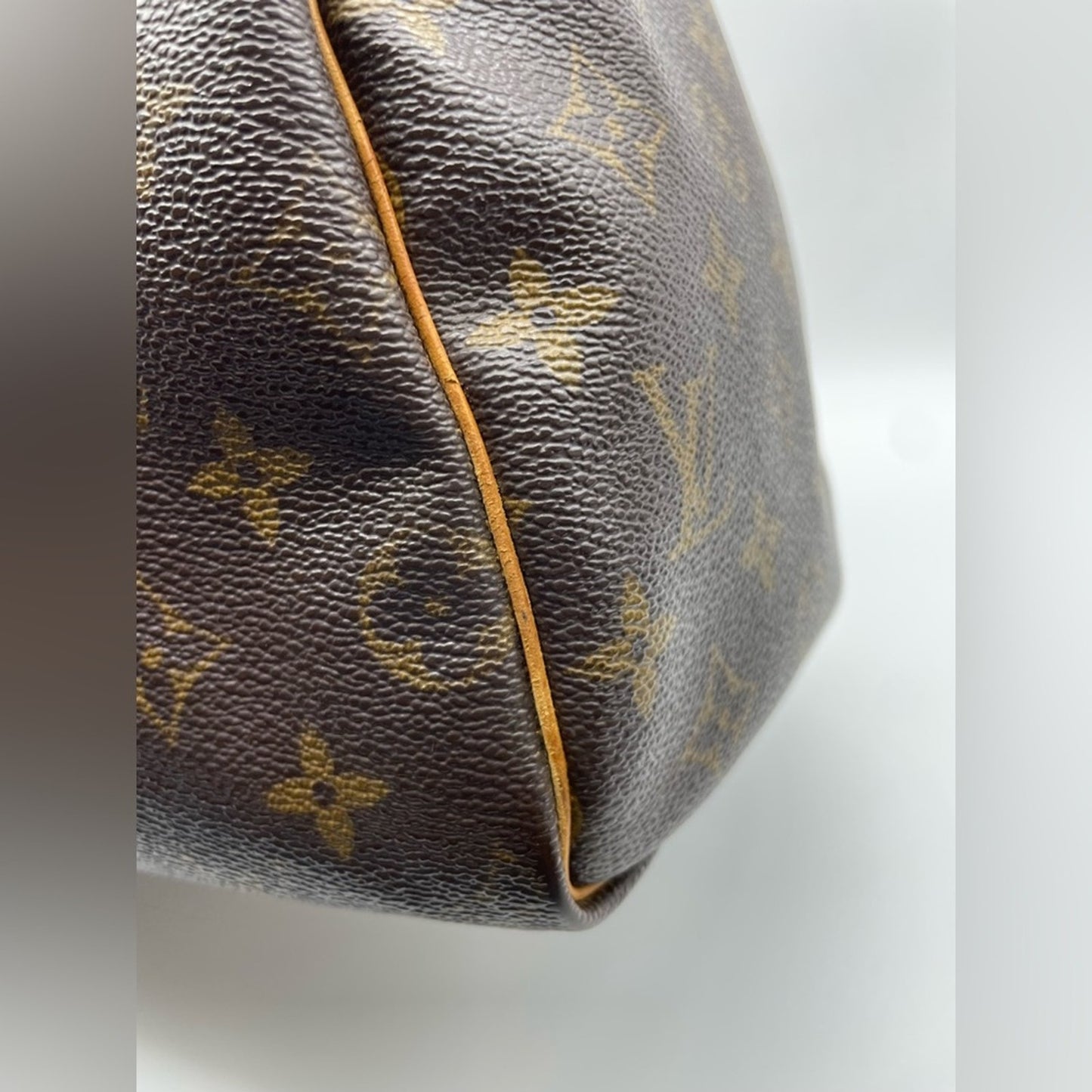 Louis Vuitton Monogram Speedy 25 HandBag