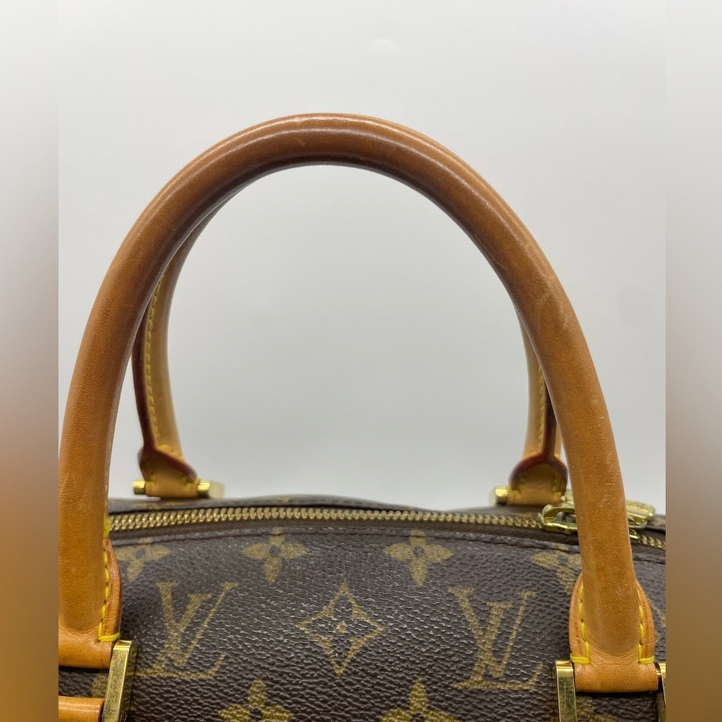 SOLD! Louis Vuitton Monogram Ribera Hand Bag
