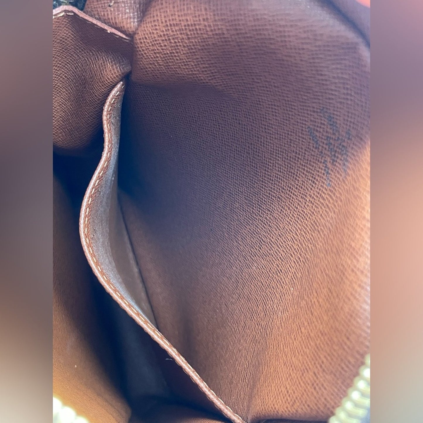 Louis Vuitton Monogram Danube Sling Bag