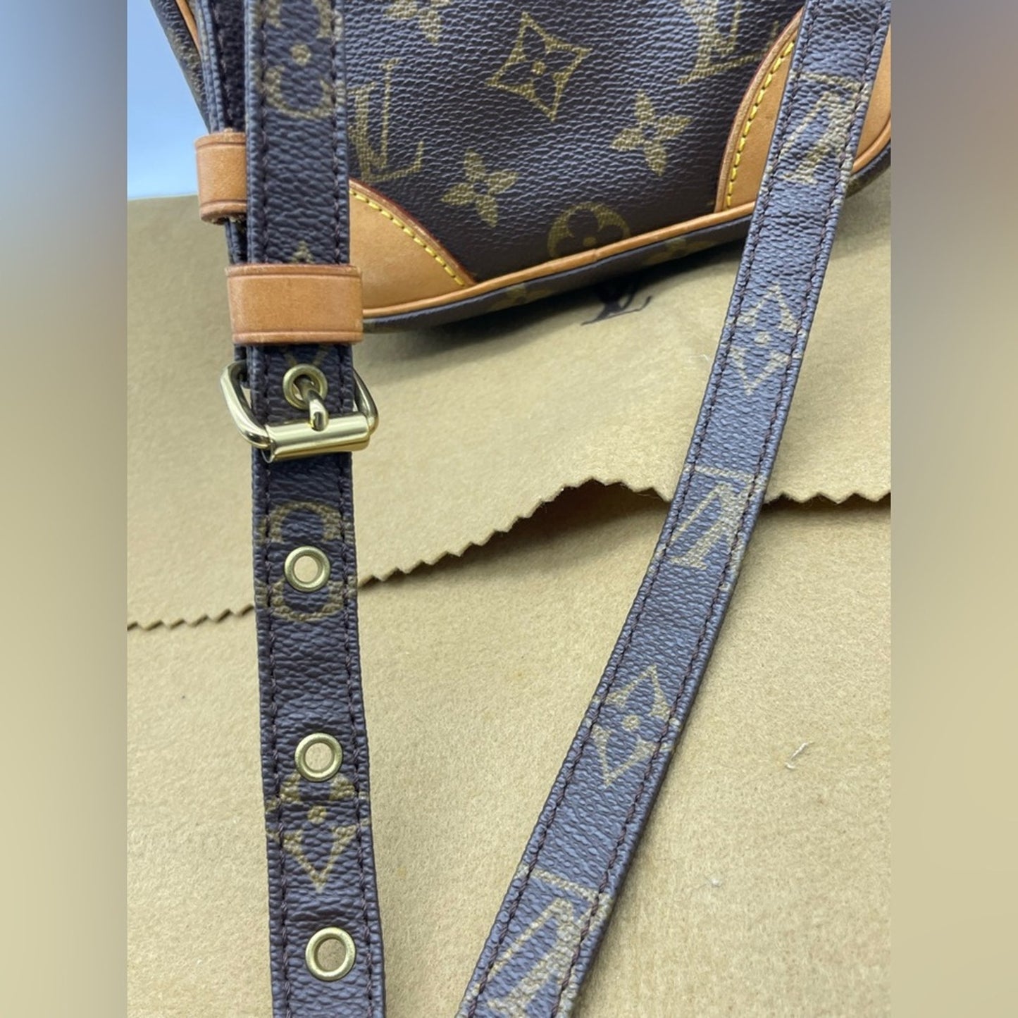 Louis Vuitton Monogram Danube Sling Bag