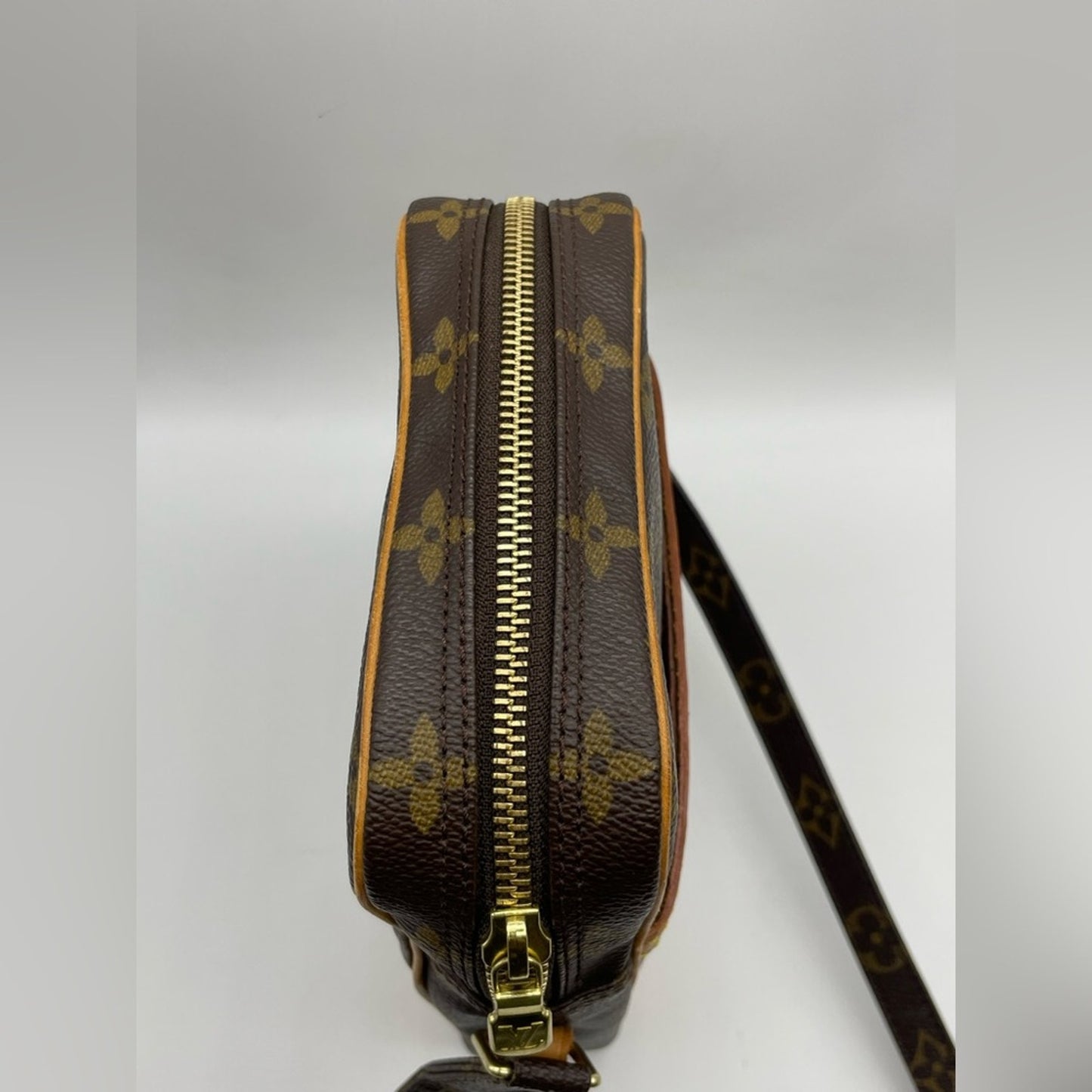 Louis Vuitton Monogram Danube Sling Bag