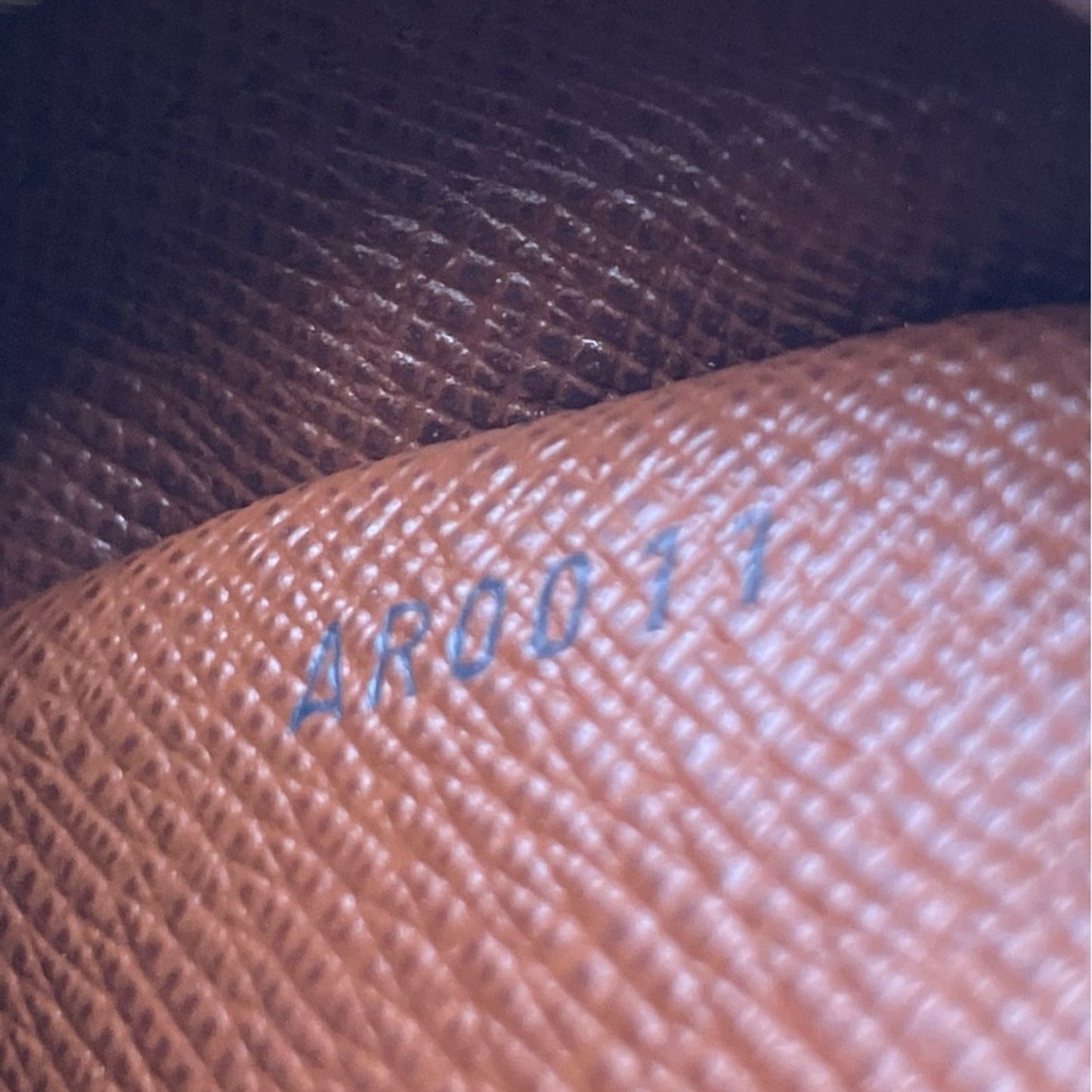 Louis Vuitton Monogram Danube Sling Bag