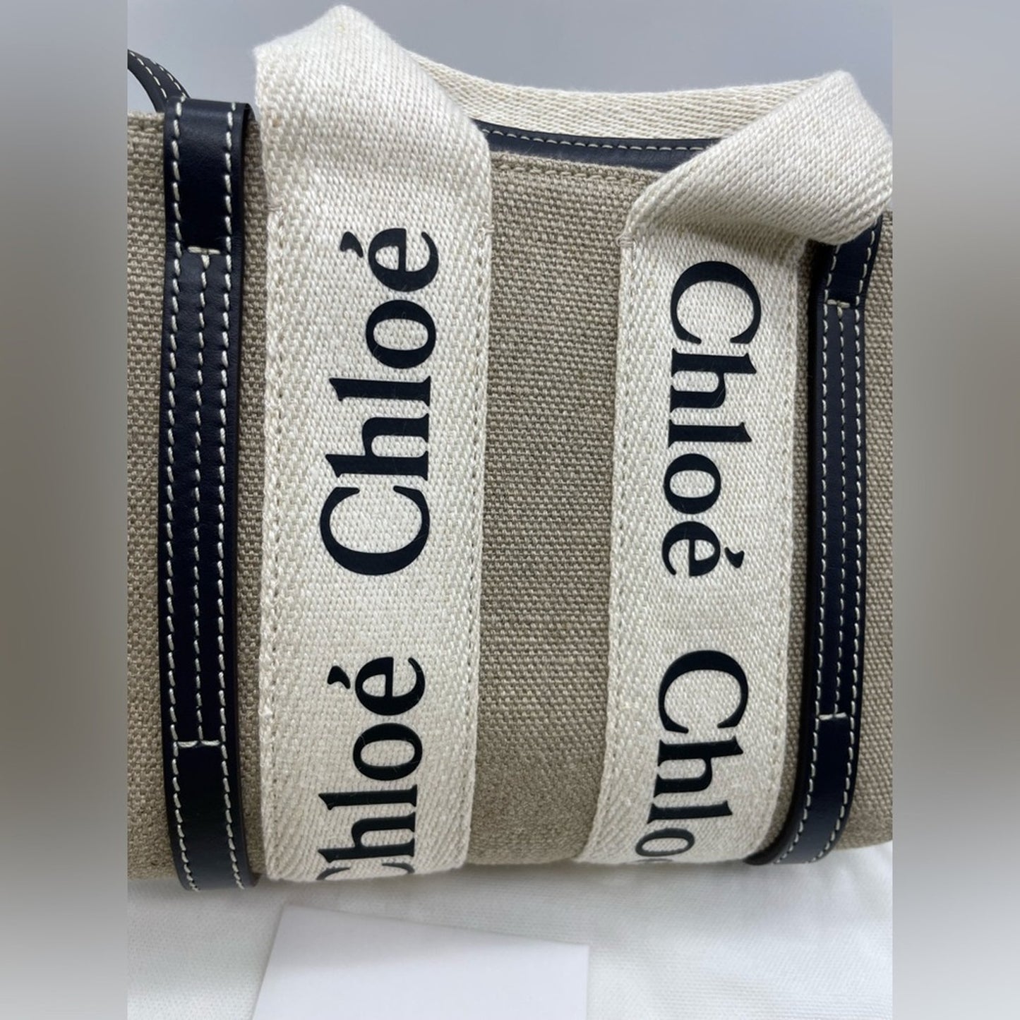 Chloe Woody Mini Canvas Two Way Bag