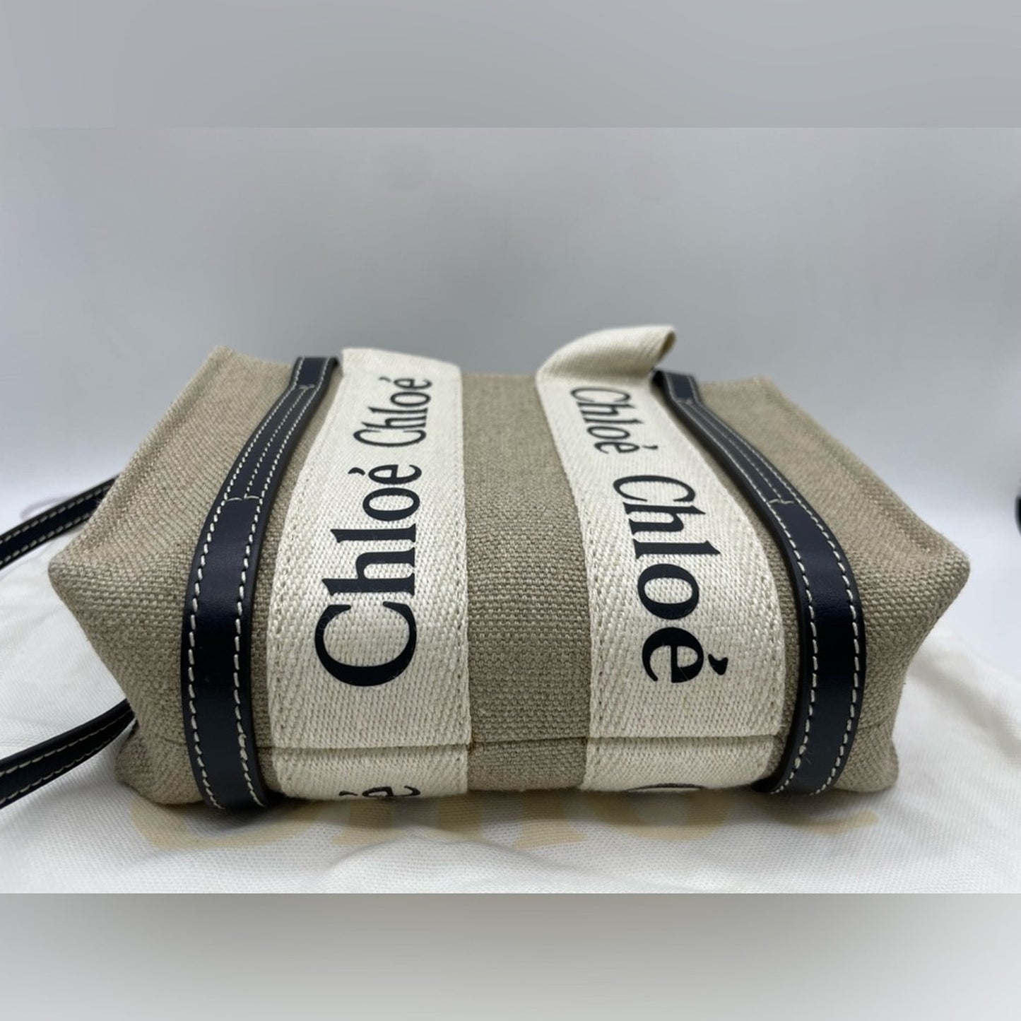 Chloe Woody Mini Canvas Two Way Bag
