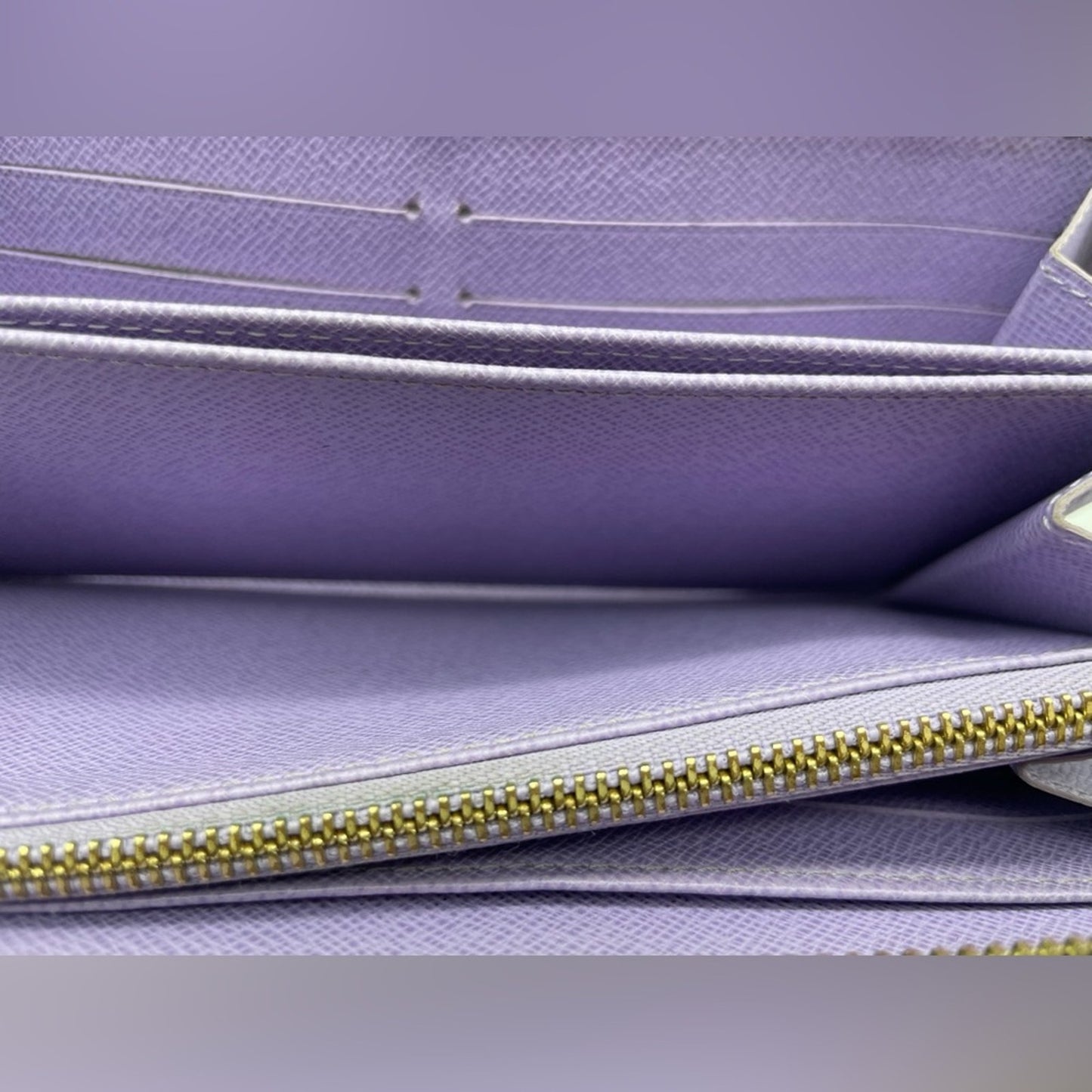 Louis Vuitton Multi Color Long Zippy Wallet
