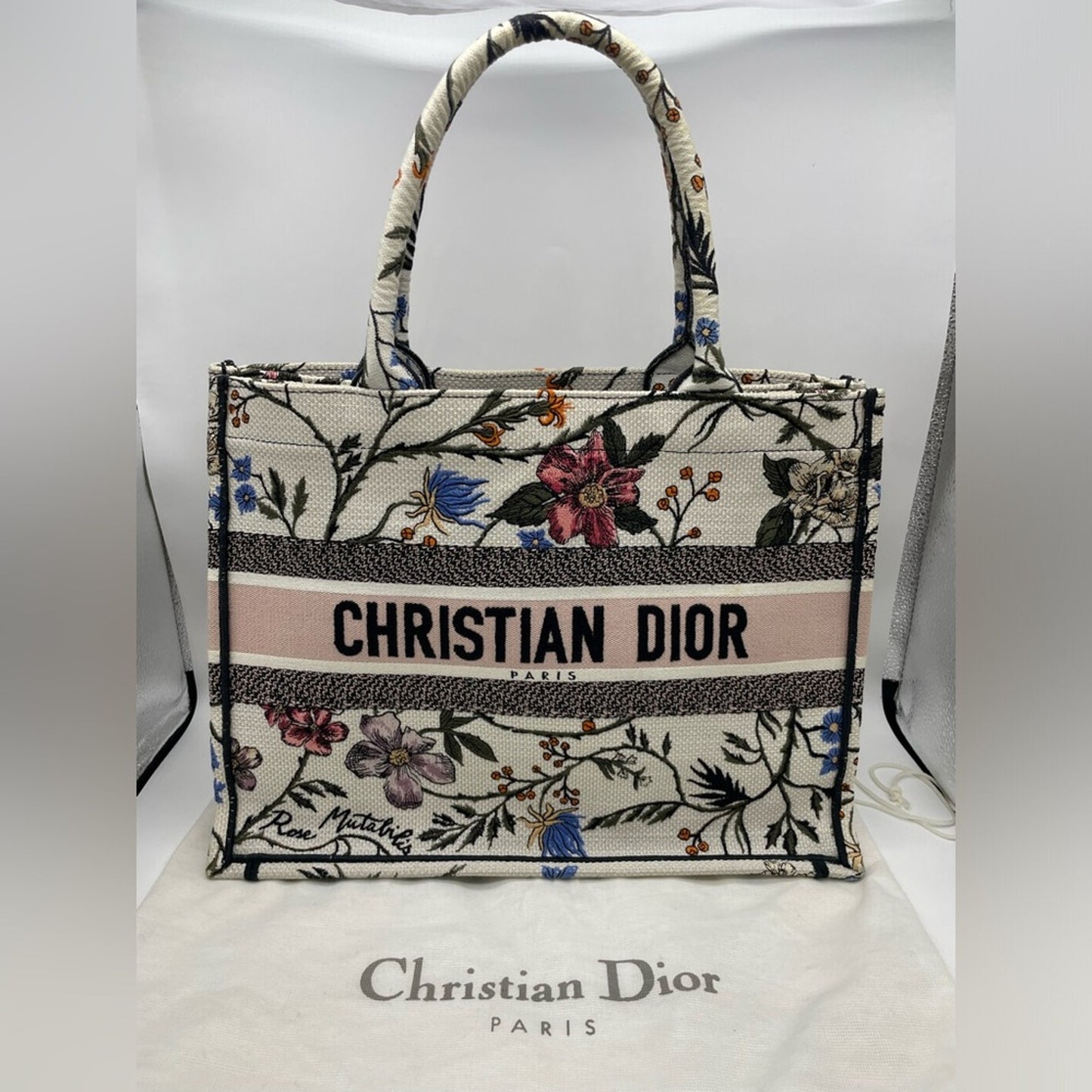 SOLD! Christian Dior Book Tote Bag