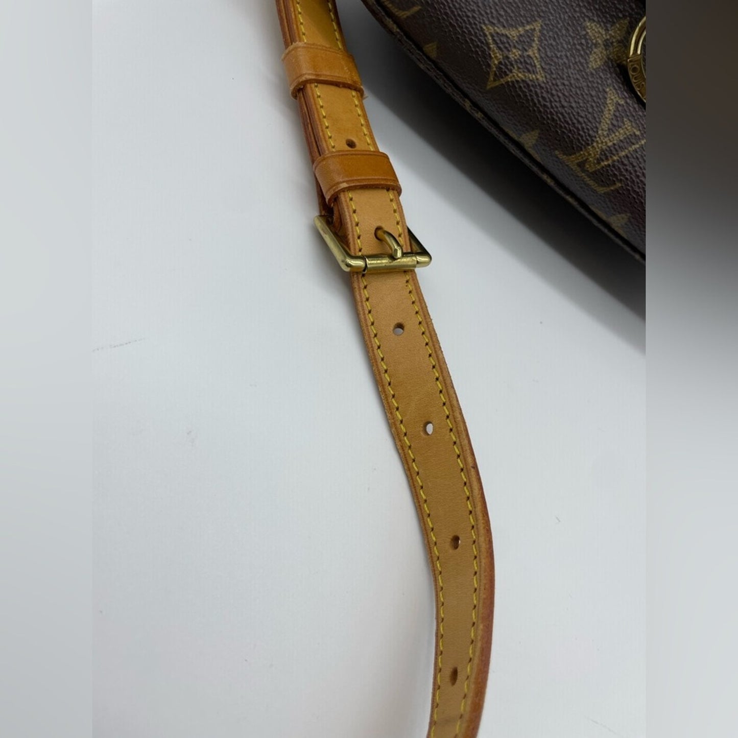 Louis Vuitton Monogram Saint Cloud Crossbody Bag