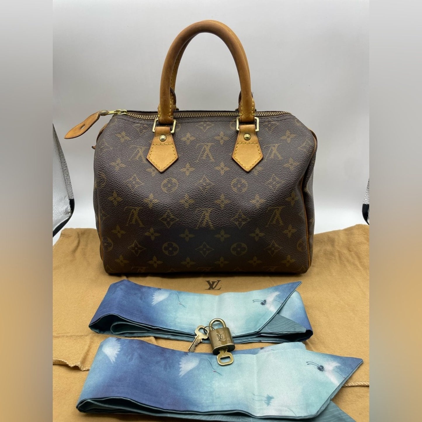 Louis Vuitton Monogram Speedy 25 HandBag