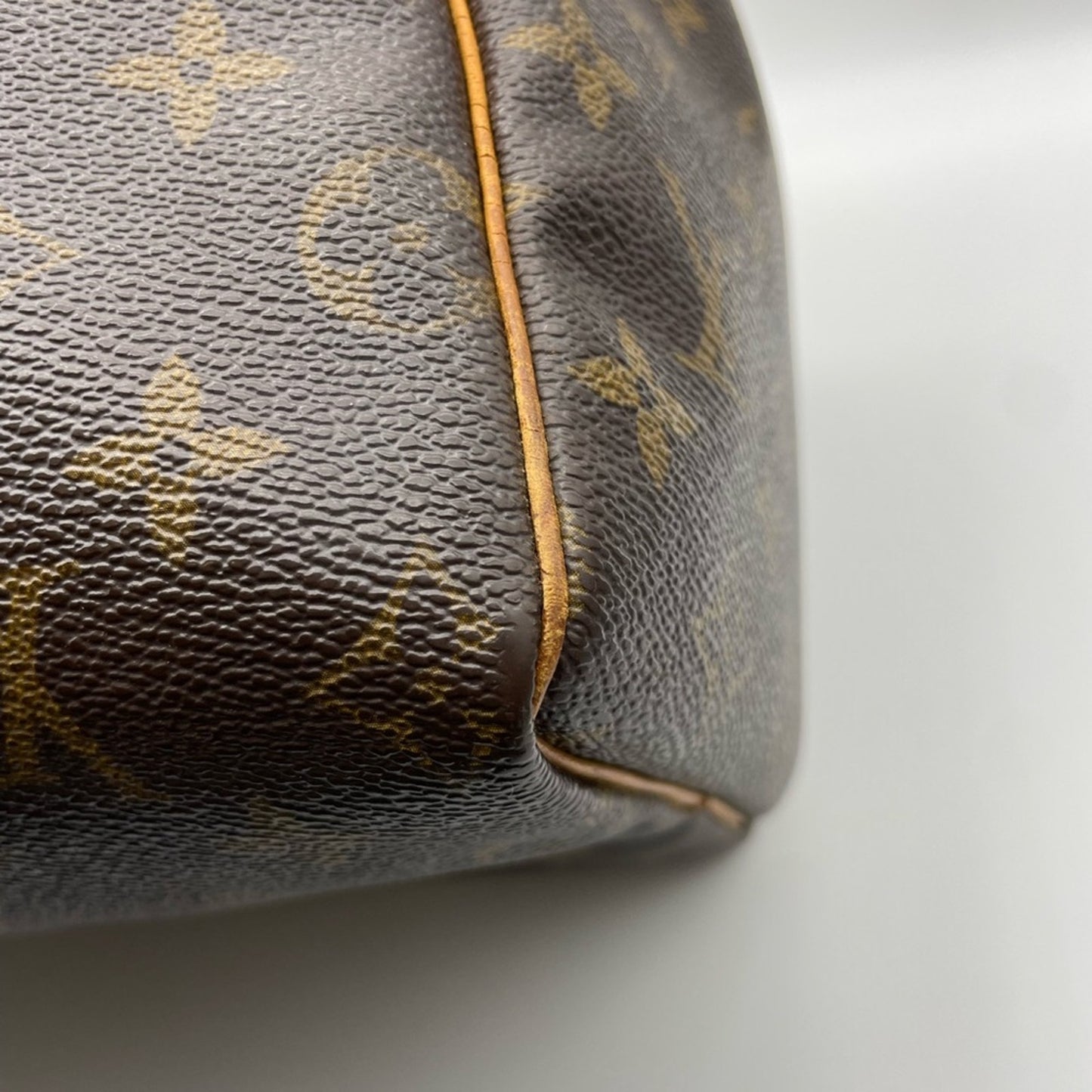 Louis Vuitton Monogram Speedy 25 HandBag