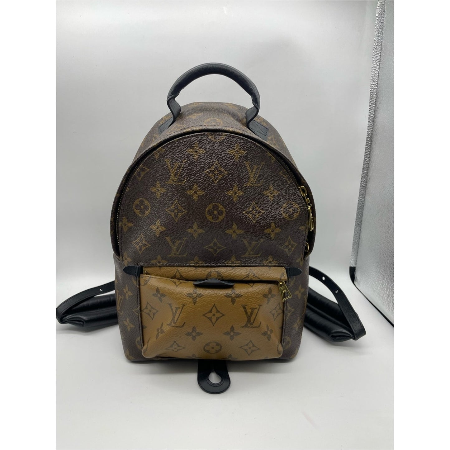 Louis Vuitton Palm Springs Backpack Bag