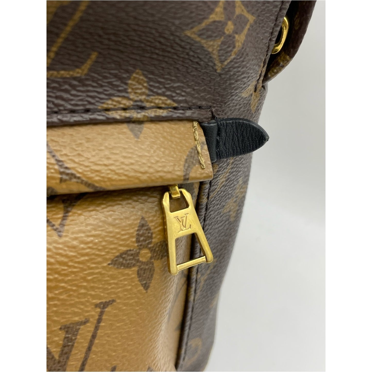 Louis Vuitton Palm Springs Backpack Bag