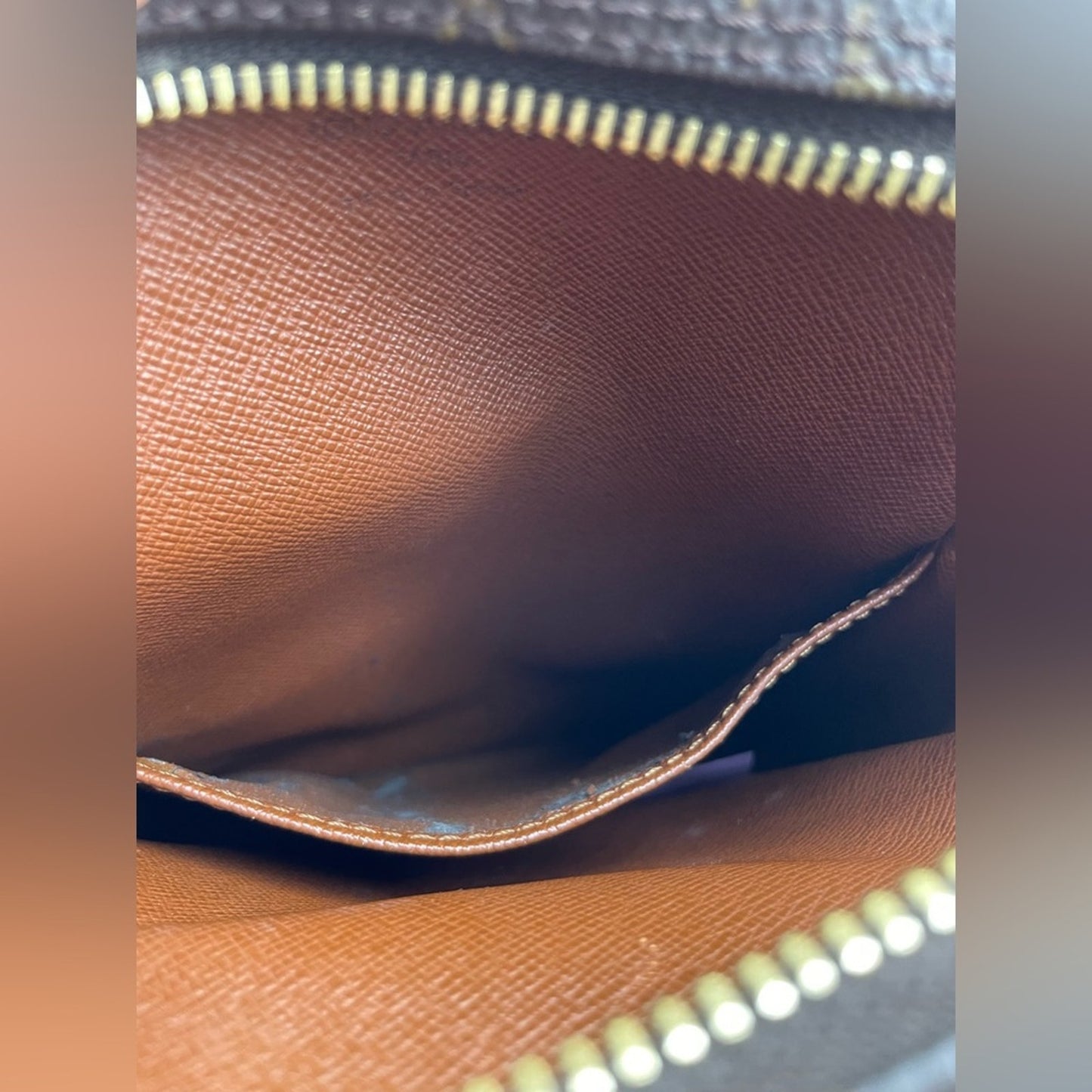 Louis Vuitton Monogram Amazone Crossbody Bag
