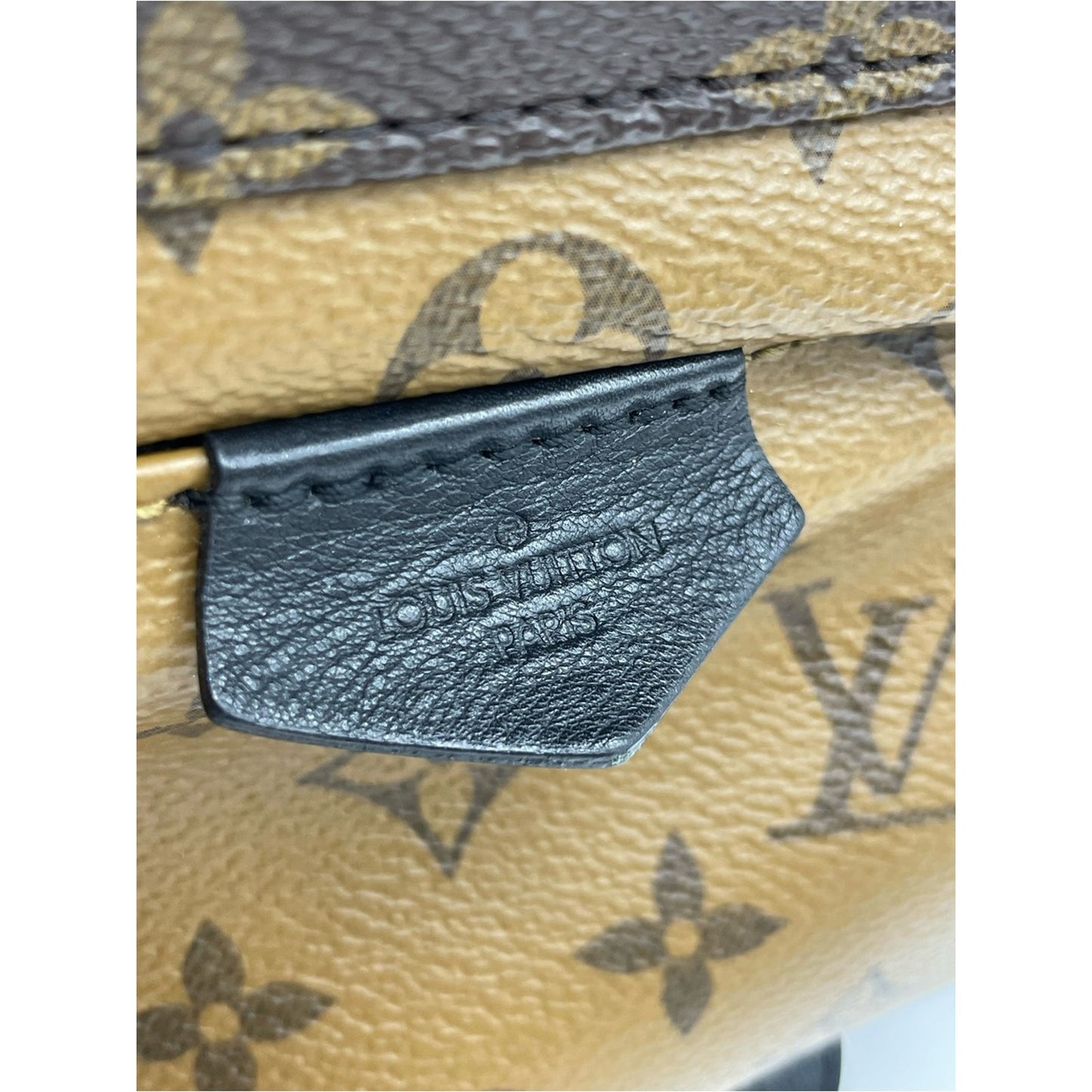 Louis Vuitton Palm Springs Backpack Bag