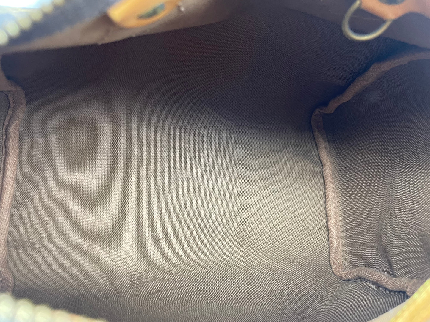 Louis Vuitton Speedy 25 Bag