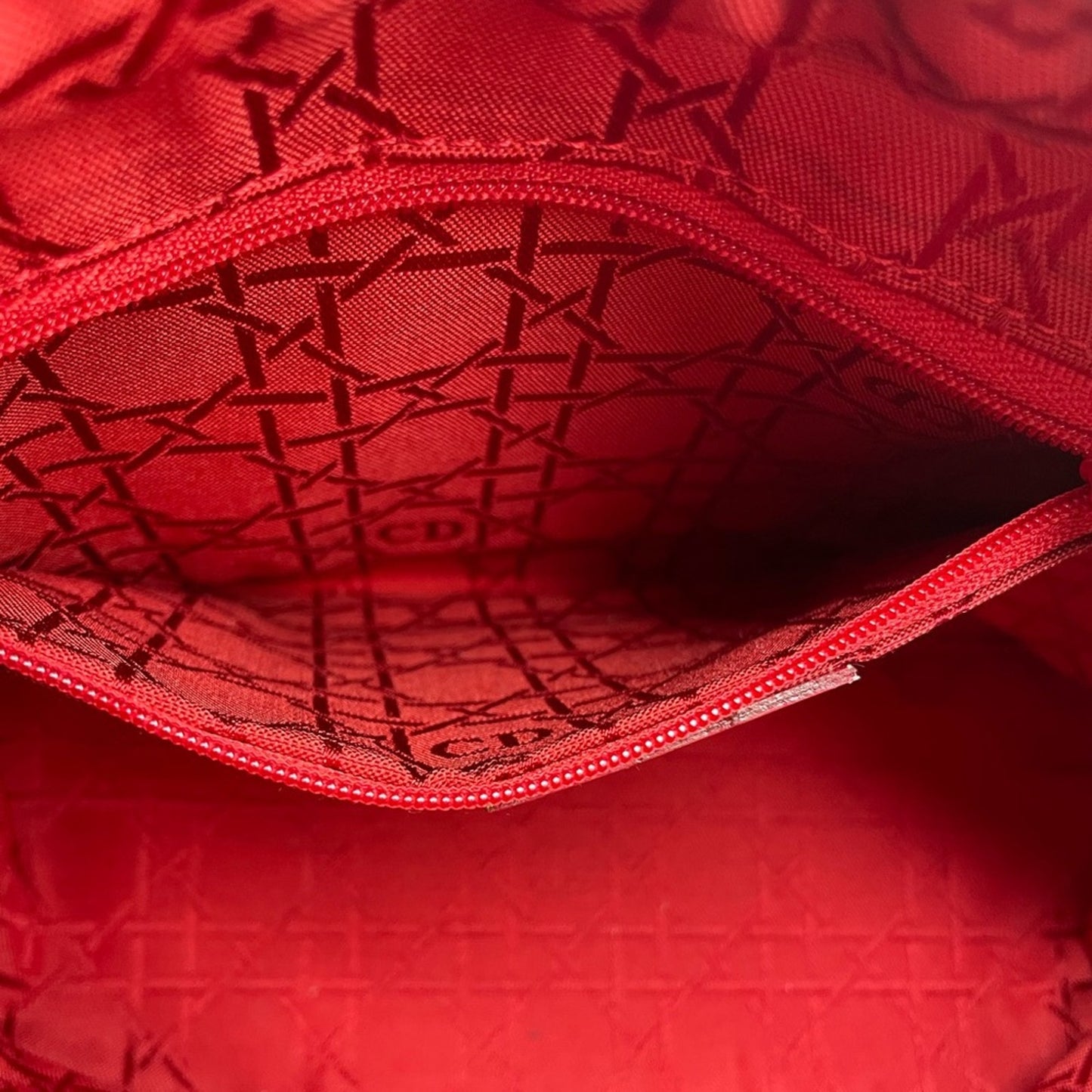 Lady Dior Canage Handbag Bag