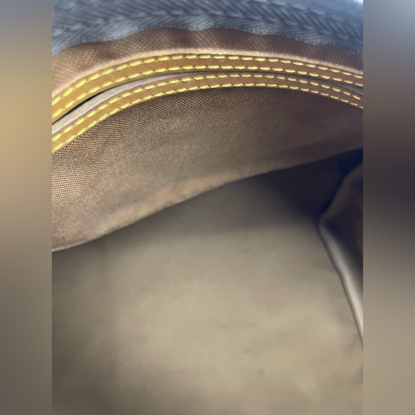 Louis Vuitton Monogram Speedy 30 Bag