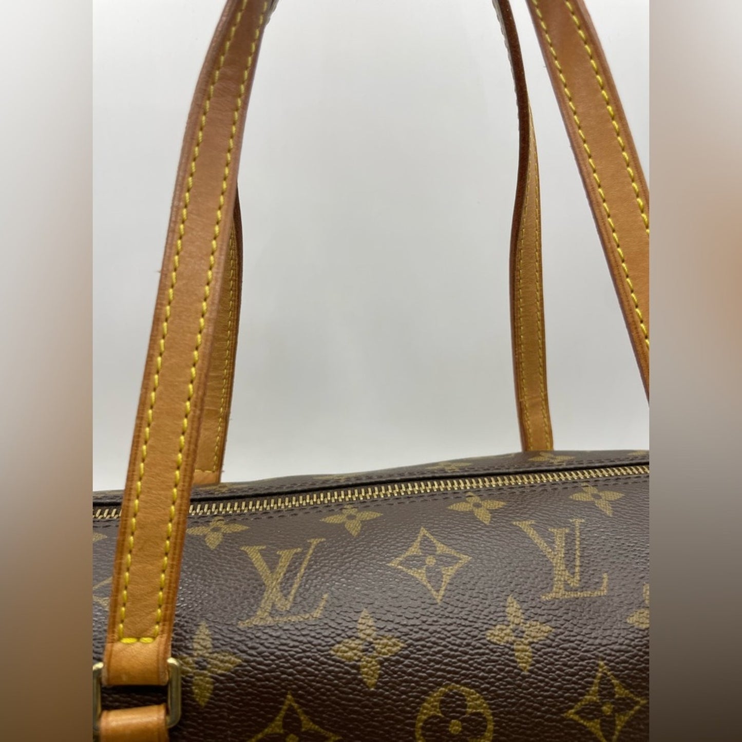 Louis Vuitton Monogram Papillon Handbag