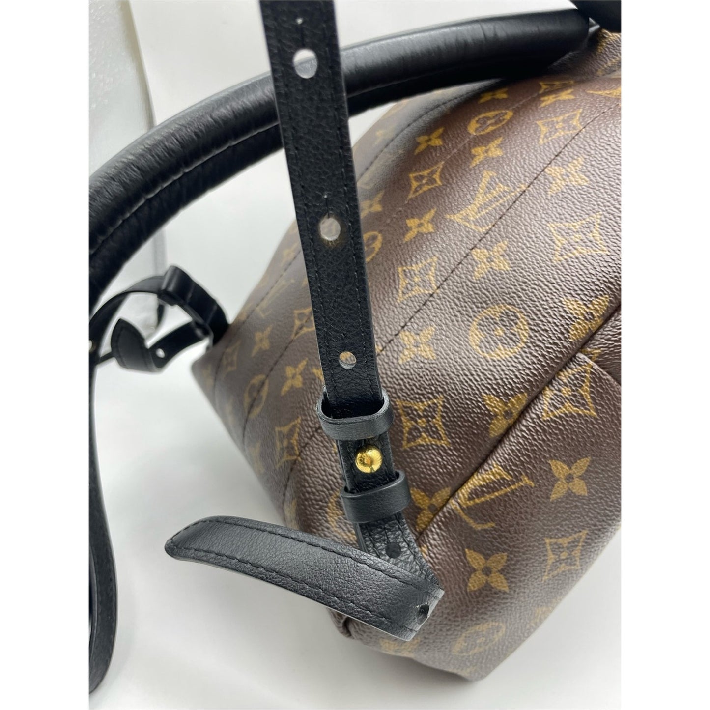 Louis Vuitton Palm Springs Backpack Bag