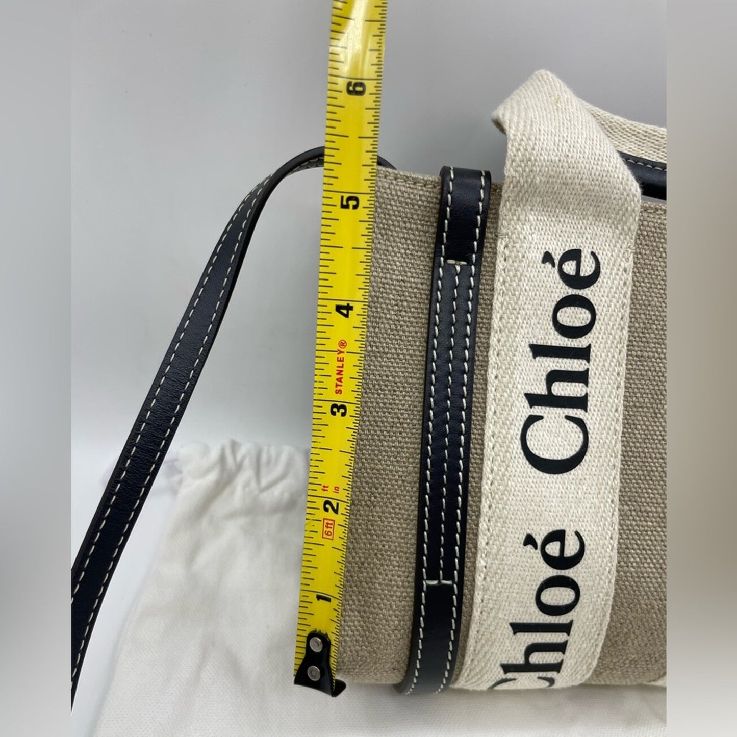 Chloe Woody Mini Canvas Two Way Bag