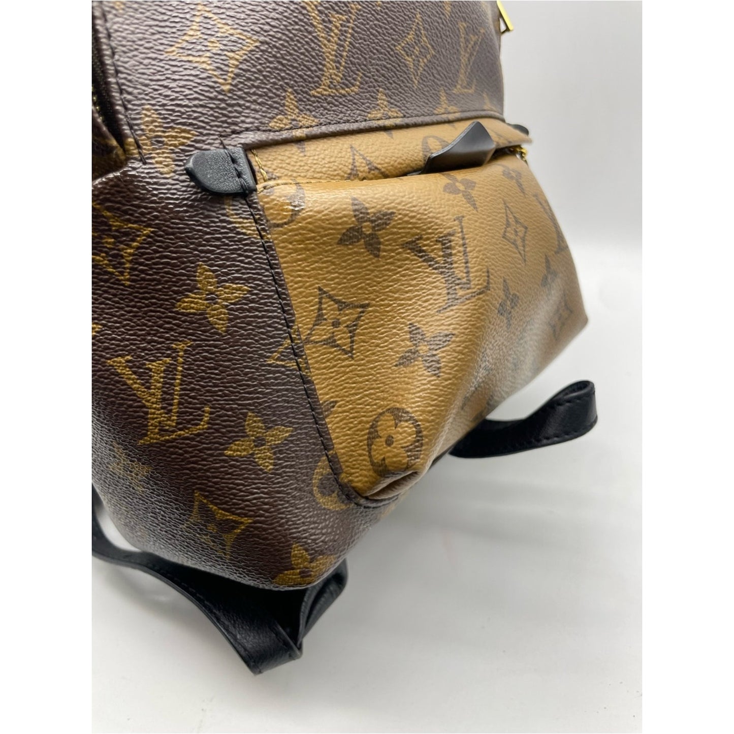 Louis Vuitton Palm Springs Backpack Bag