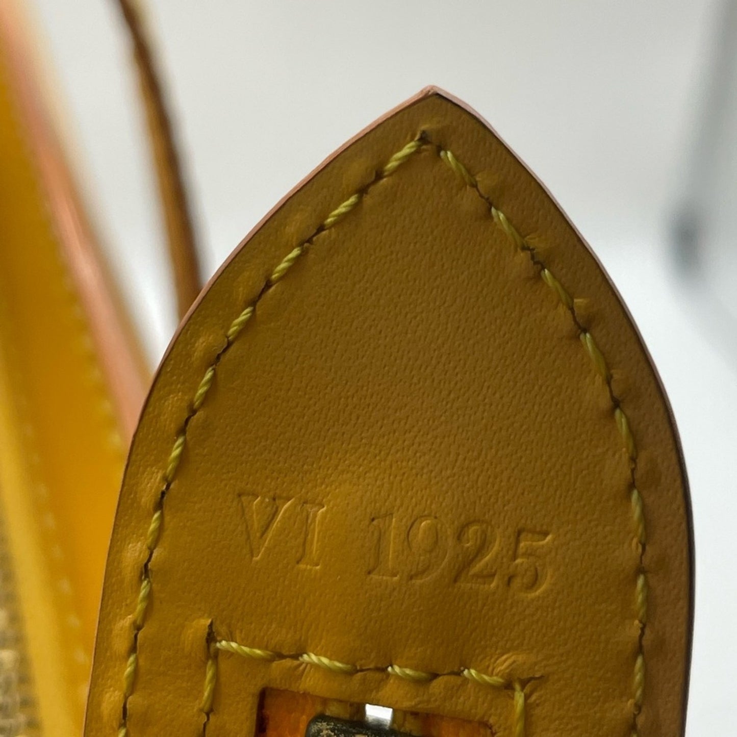 Louis Vuitton Epi Saint Jaques Hand Bag