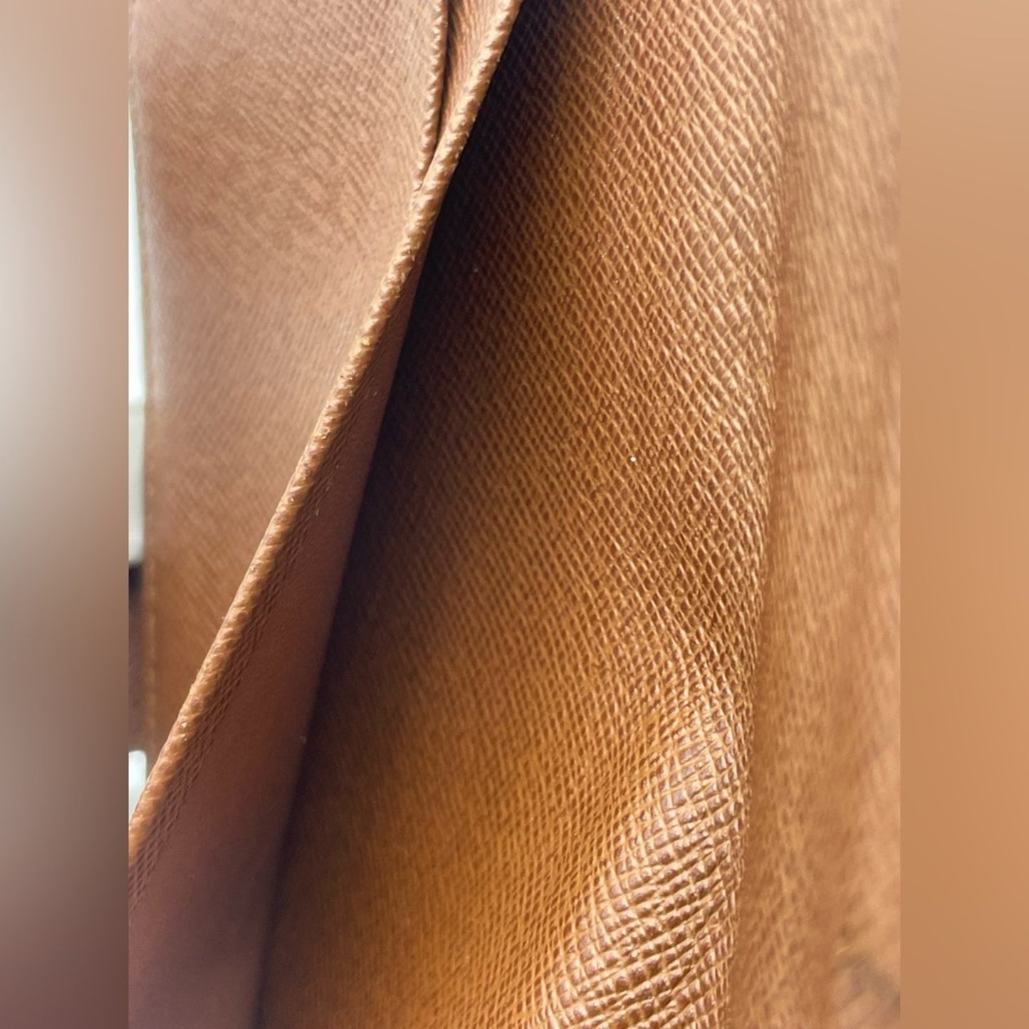 Louis Vuitton Monogram Organizer/Wallet