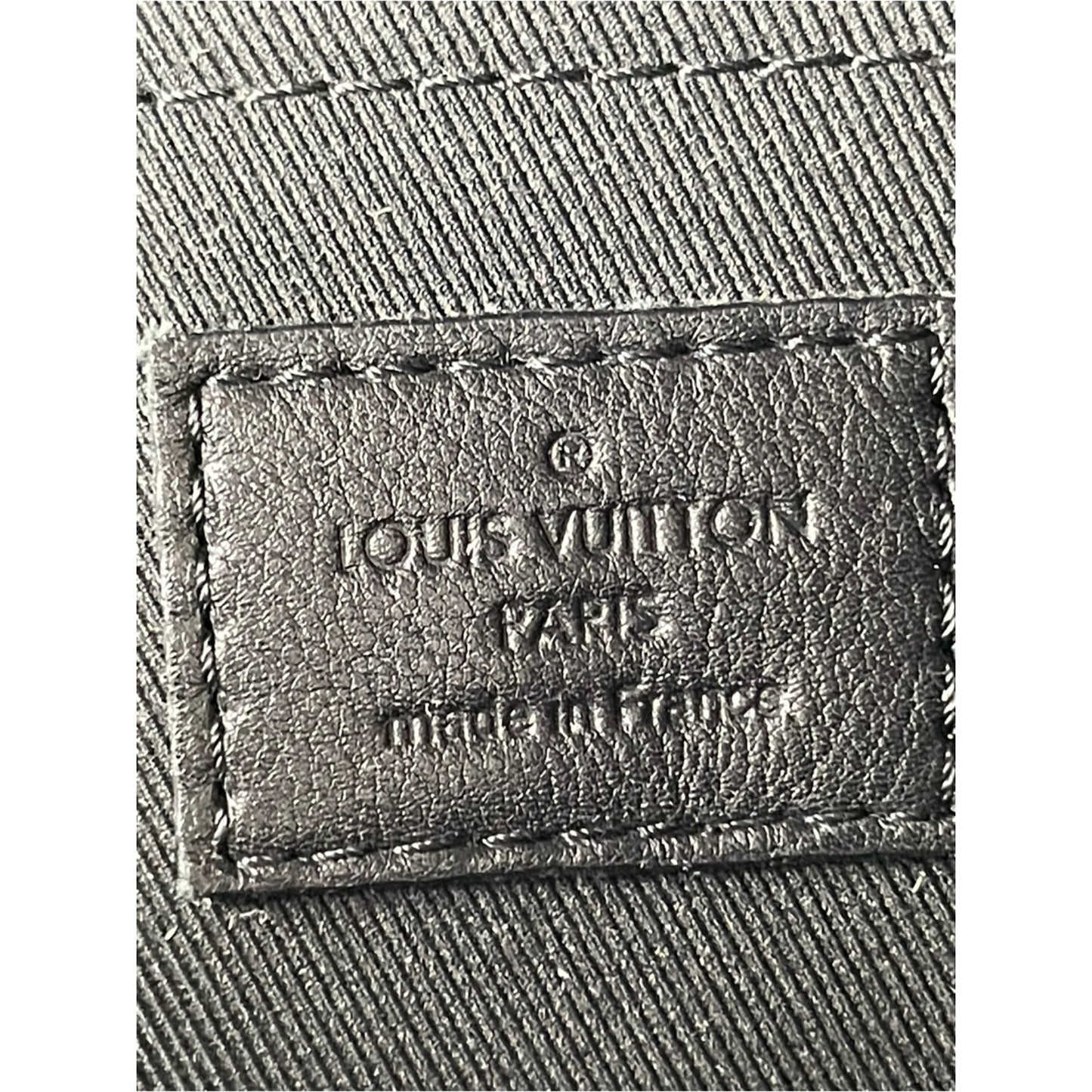 Louis Vuitton Palm Springs Backpack Bag