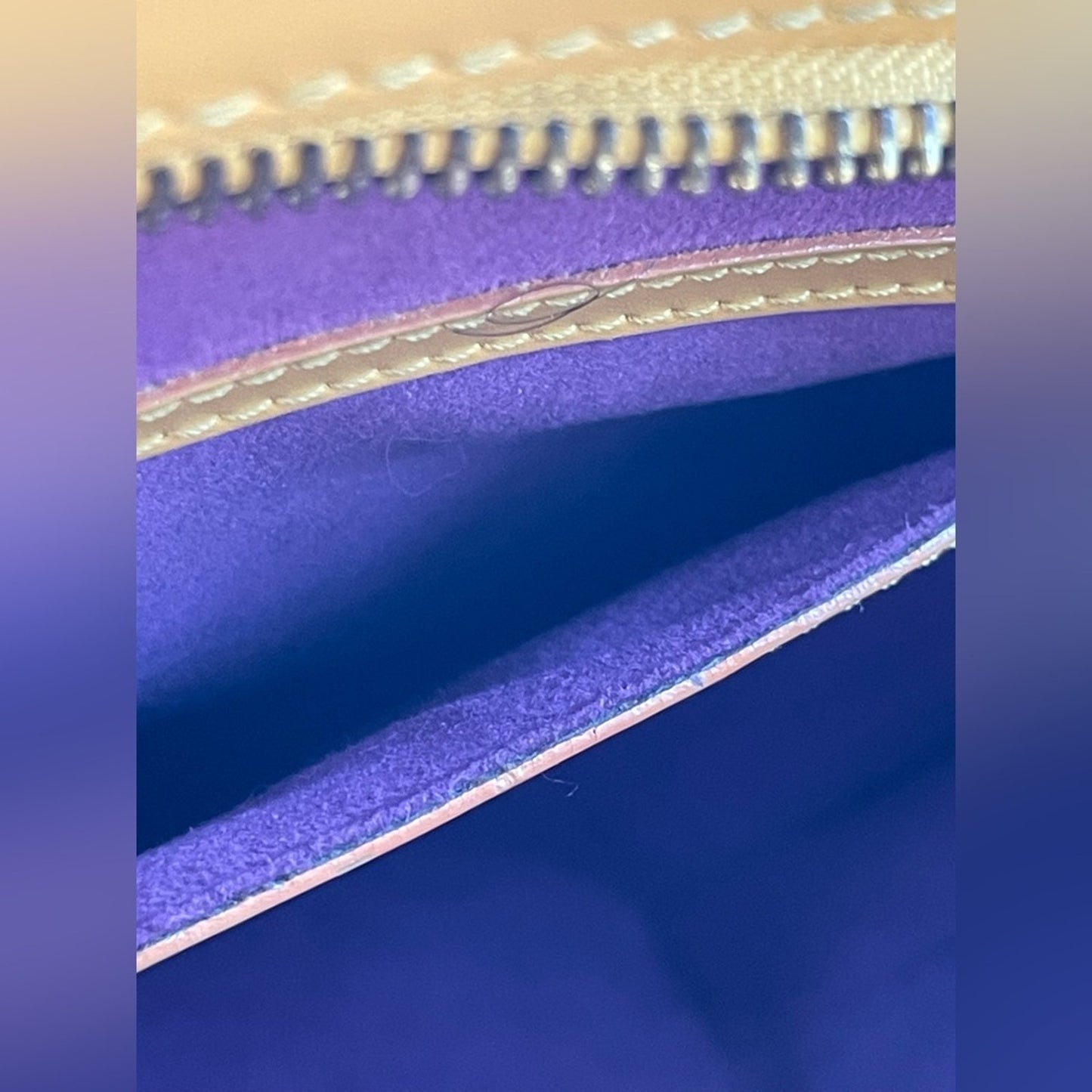 Louis Vuitton Epi Saint Jaques Hand Bag