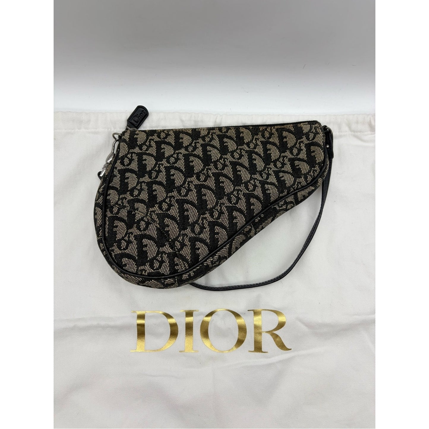 Christian Dior Saddle Pochette Bag