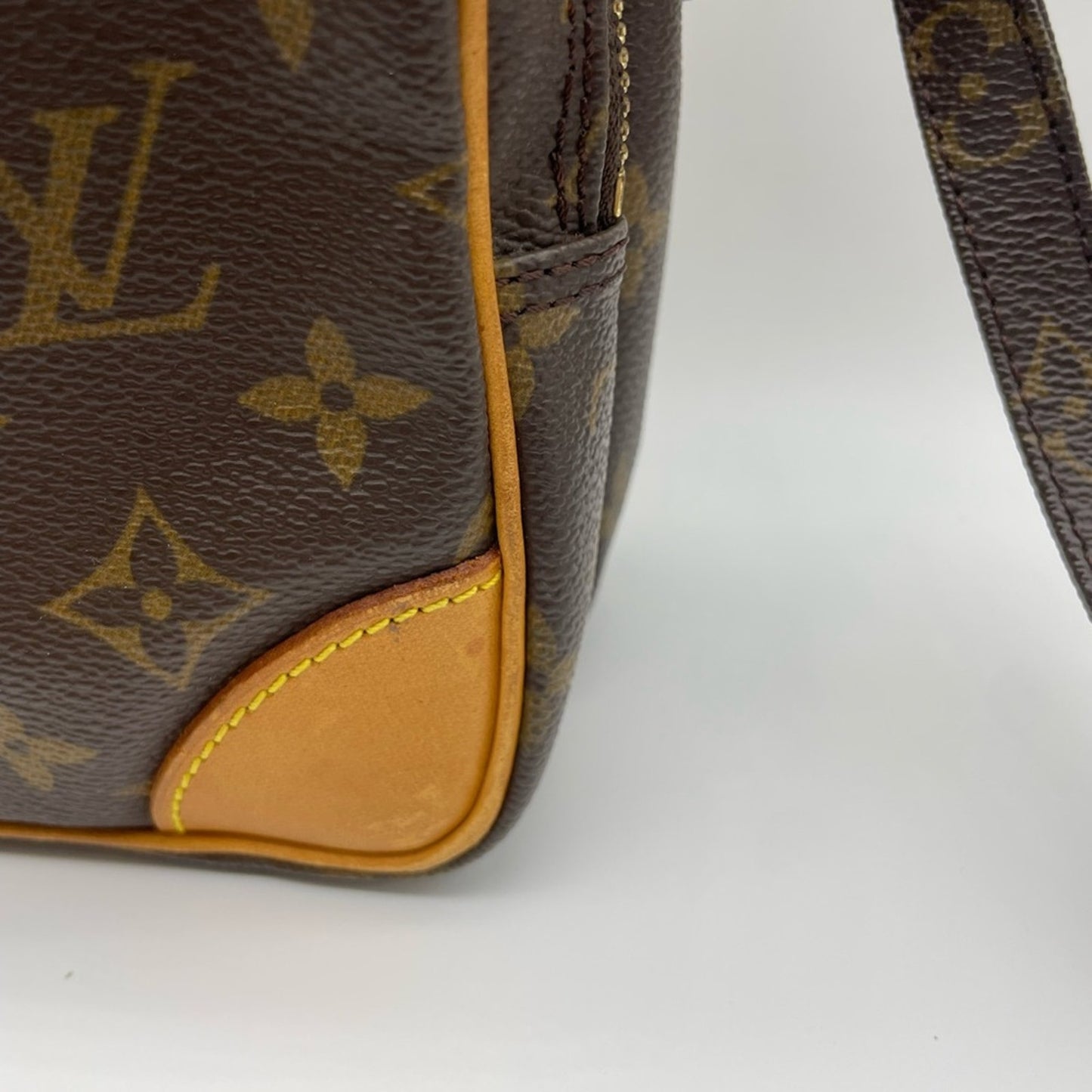 Louis Vuitton Monogram Amazone Crossbody Bag