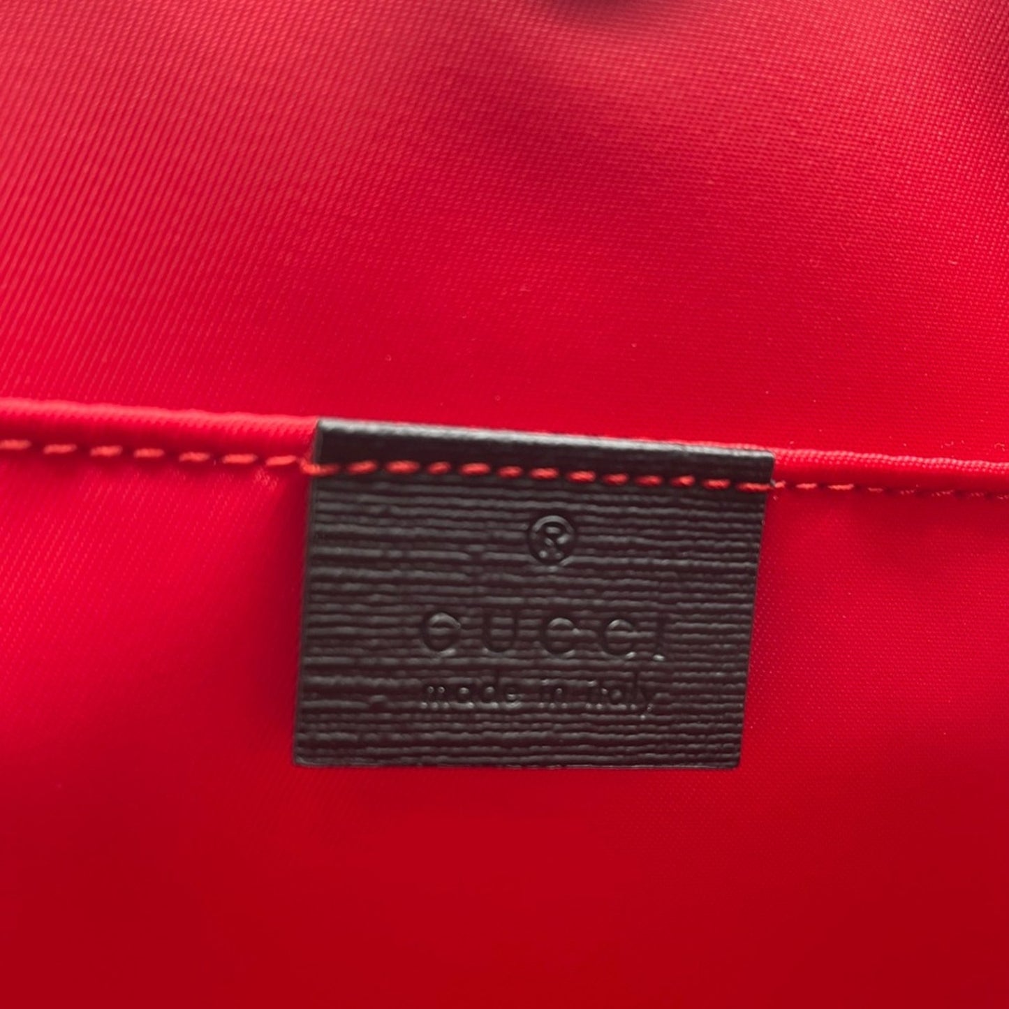 Gucci PVC HandBag with the iconic green cat design