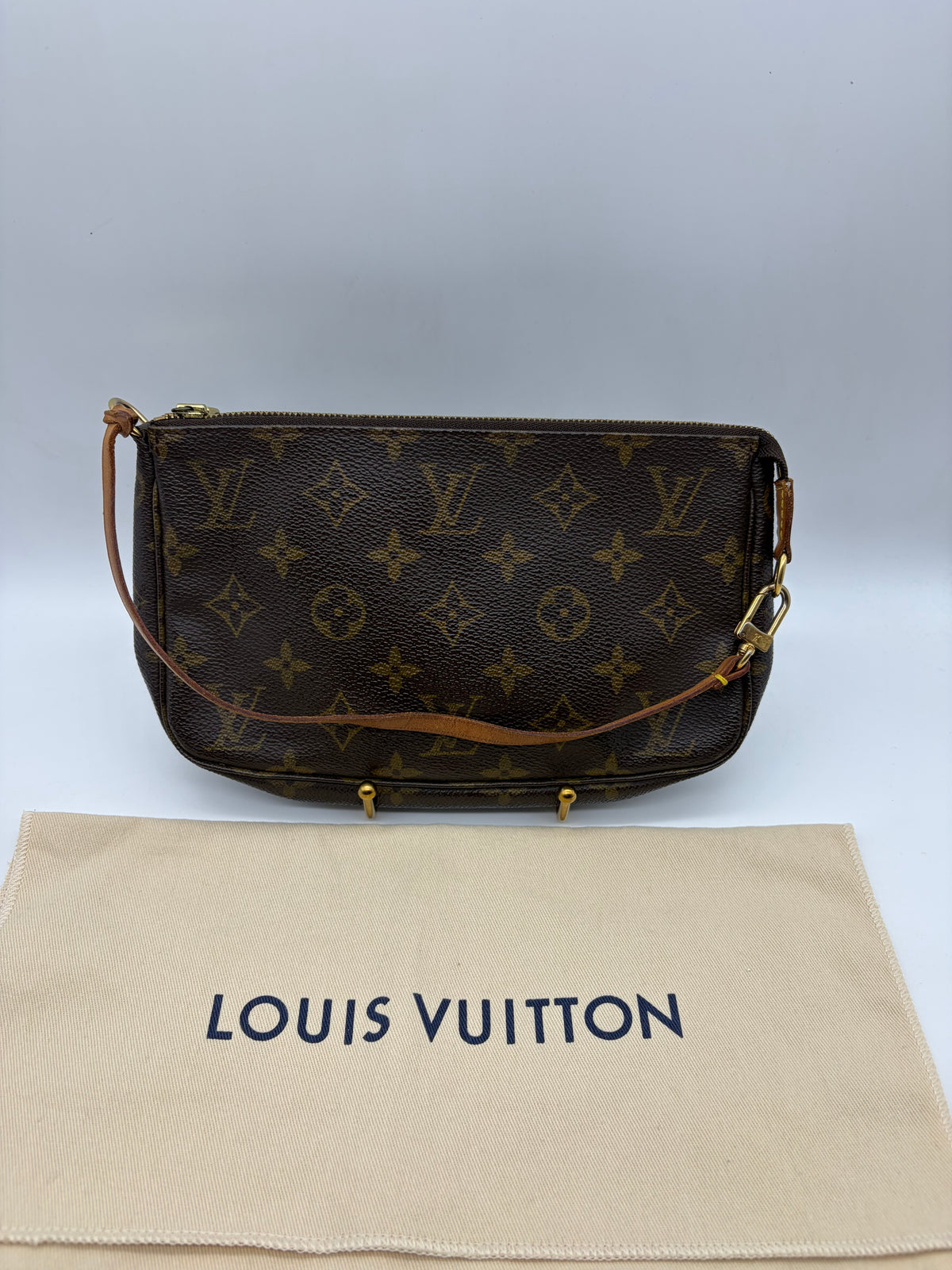 Louis Vuitton Pochette Bag