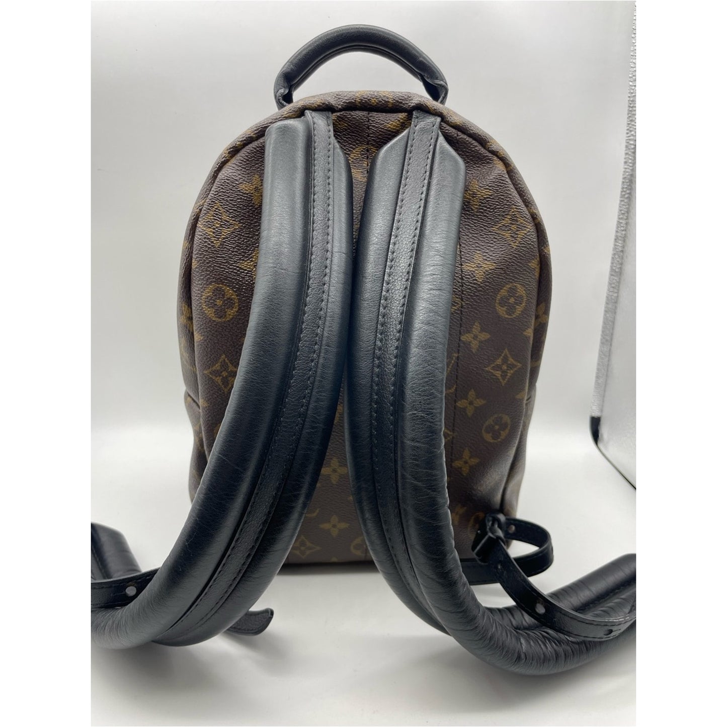 Louis Vuitton Palm Springs Backpack Bag
