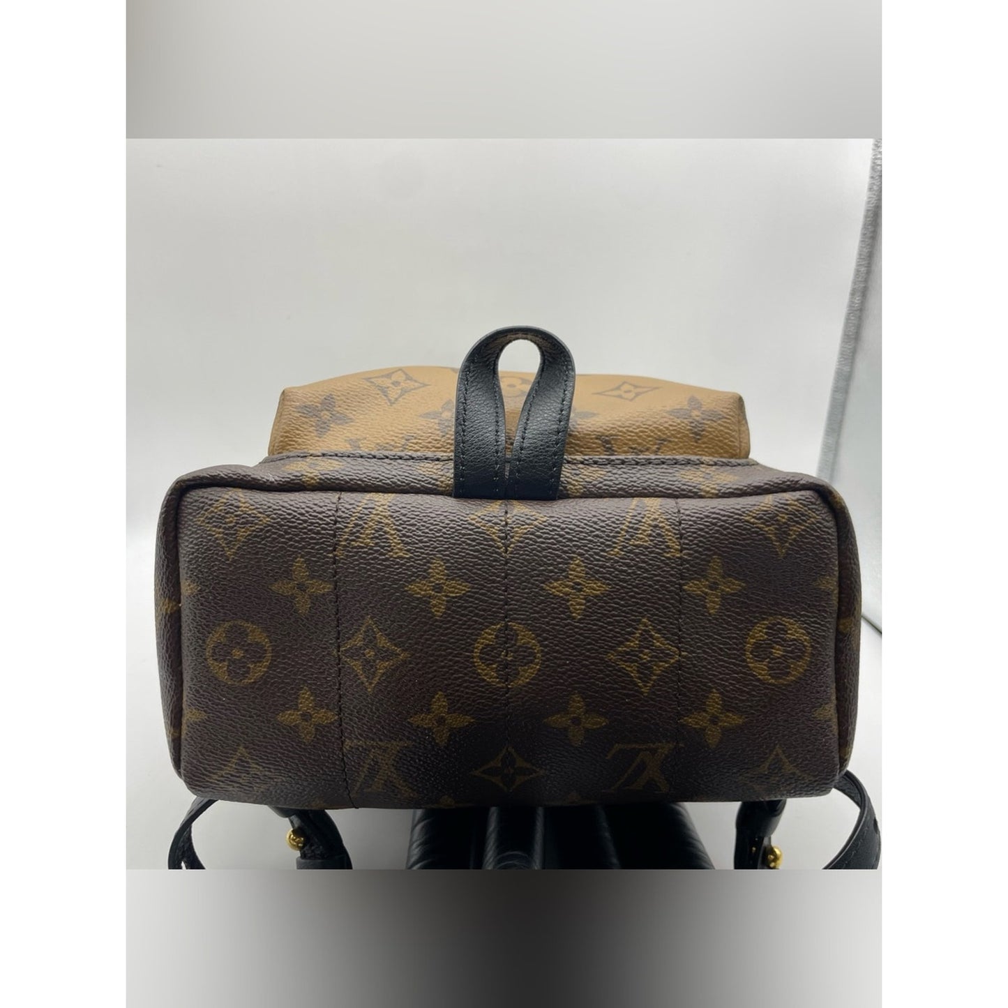 Louis Vuitton Palm Springs Backpack Bag
