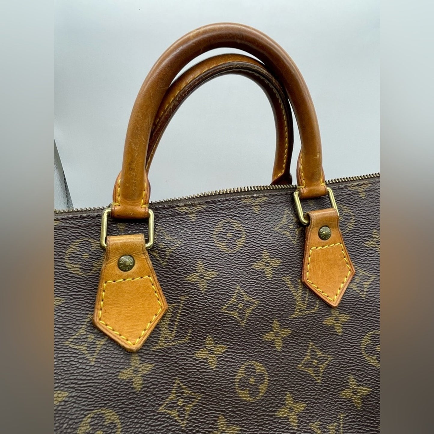 Louis Vuitton Monogram Speedy 30 Bag
