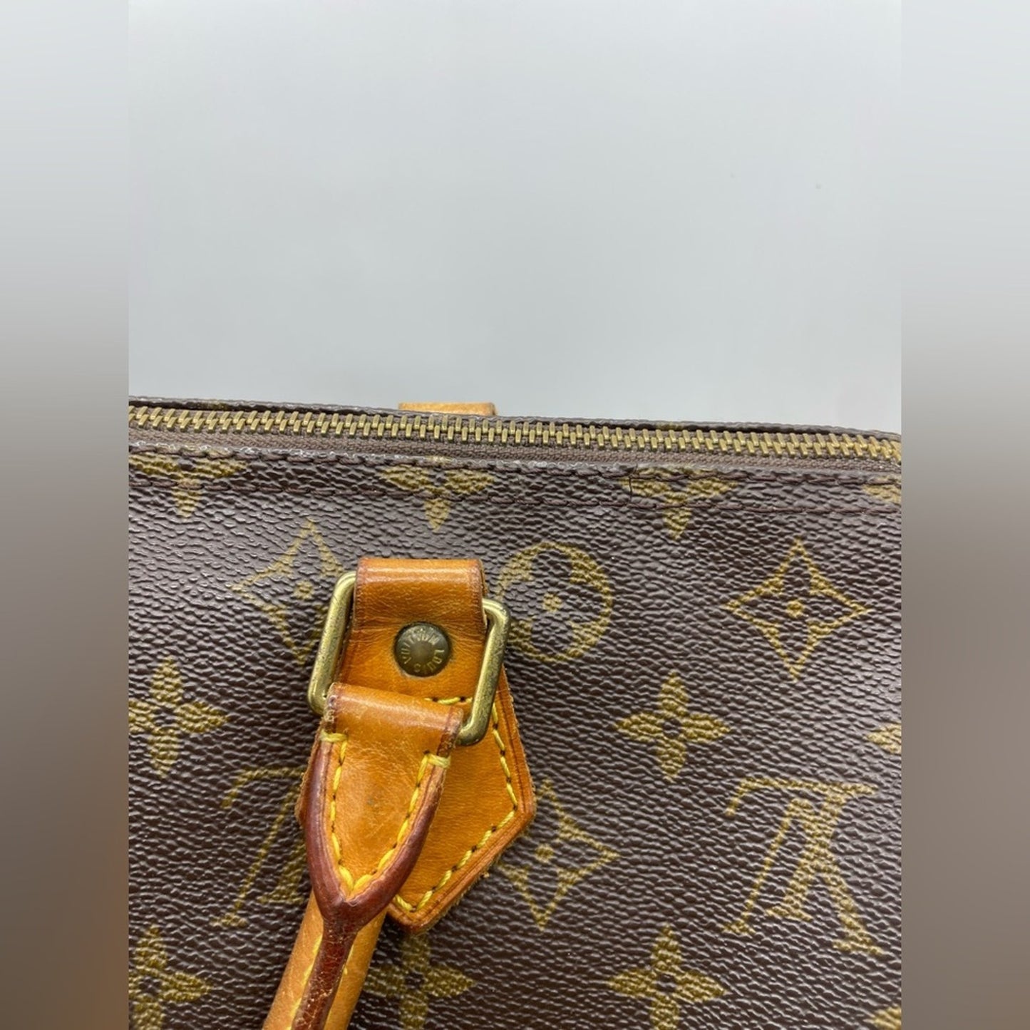 Louis Vuitton Monogram Speedy 30 Bag