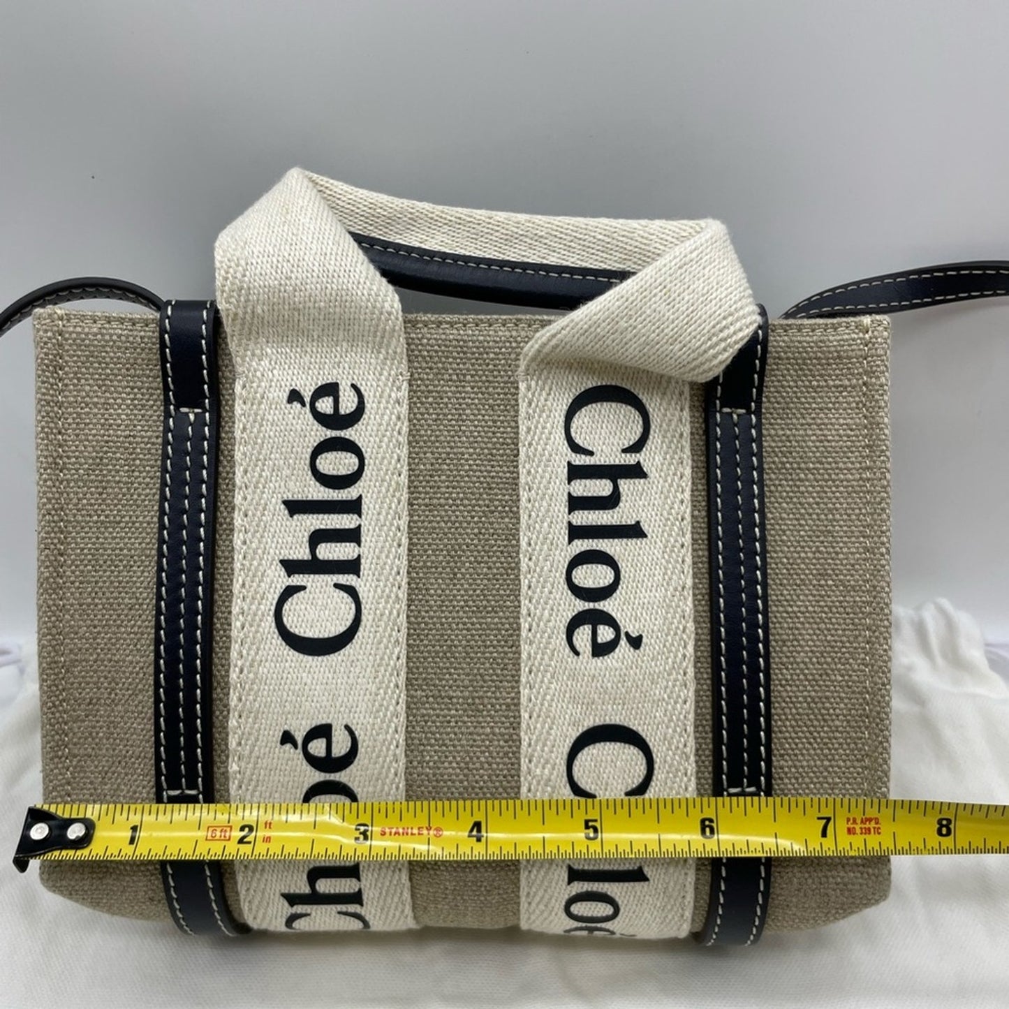 Chloe Woody Mini Canvas Two Way Bag