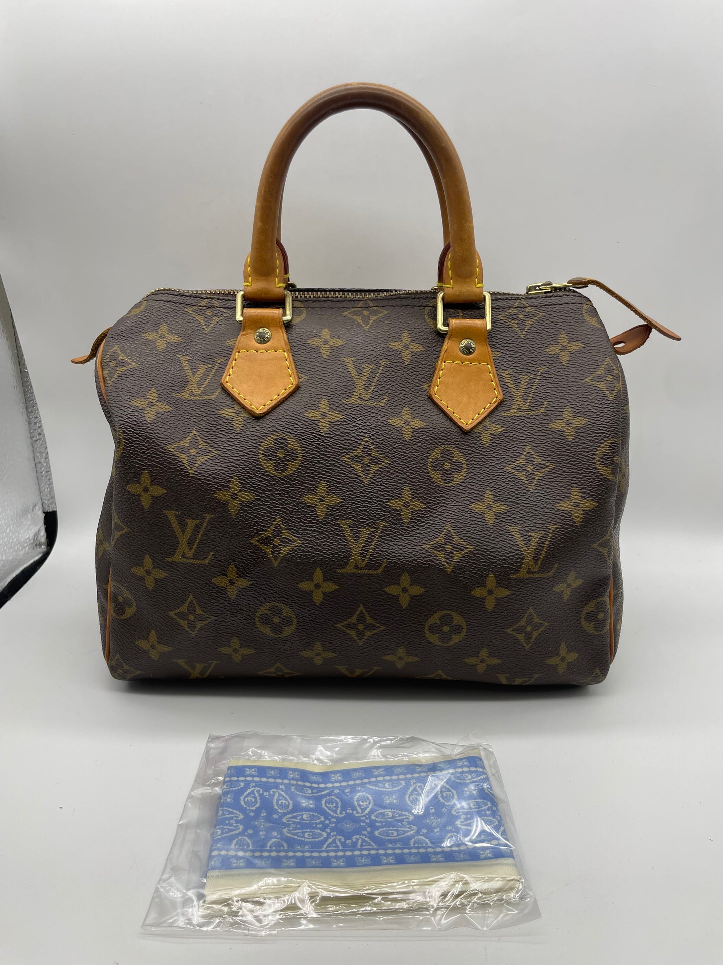 Louis Vuitton Speedy 25 Bag