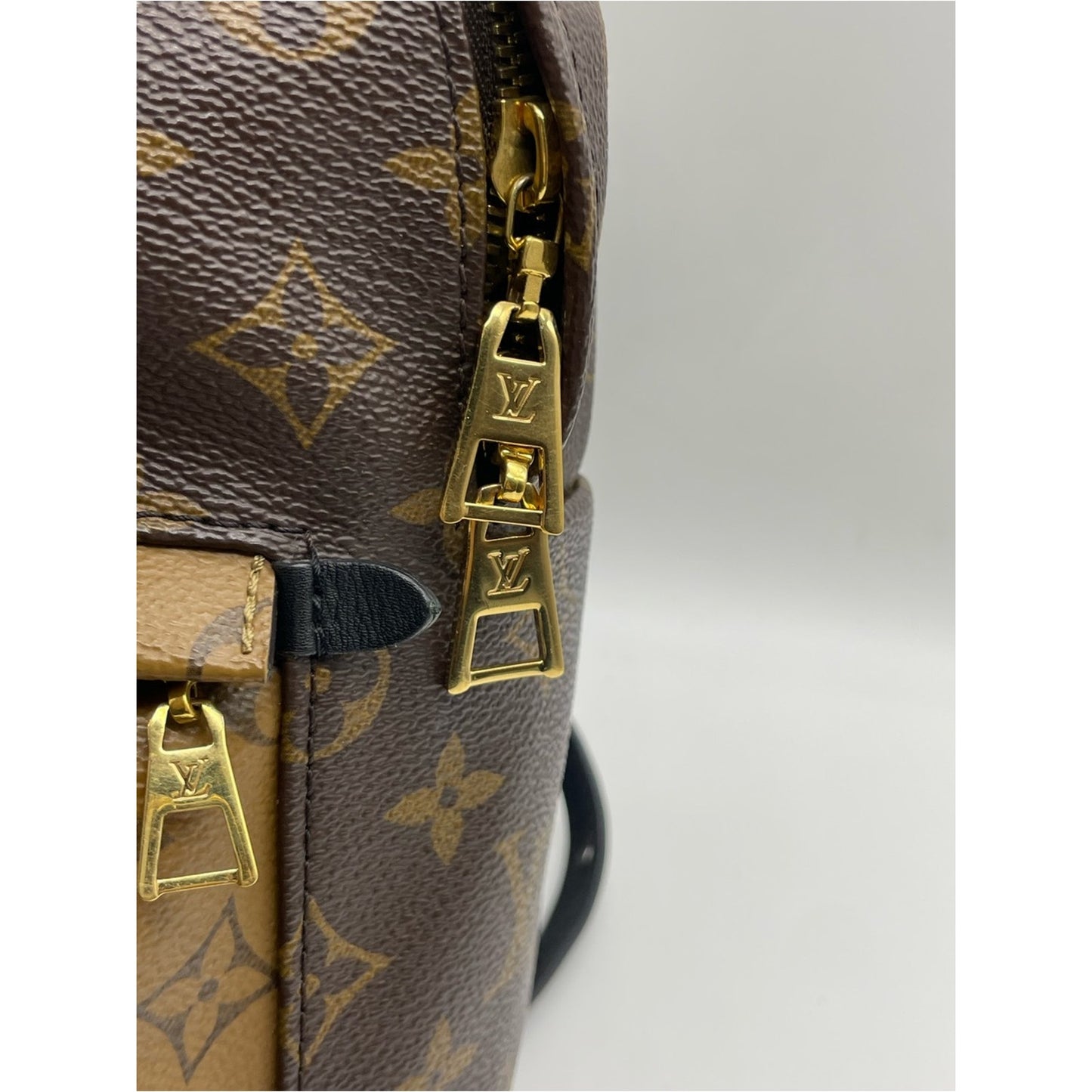 Louis Vuitton Palm Springs Backpack Bag