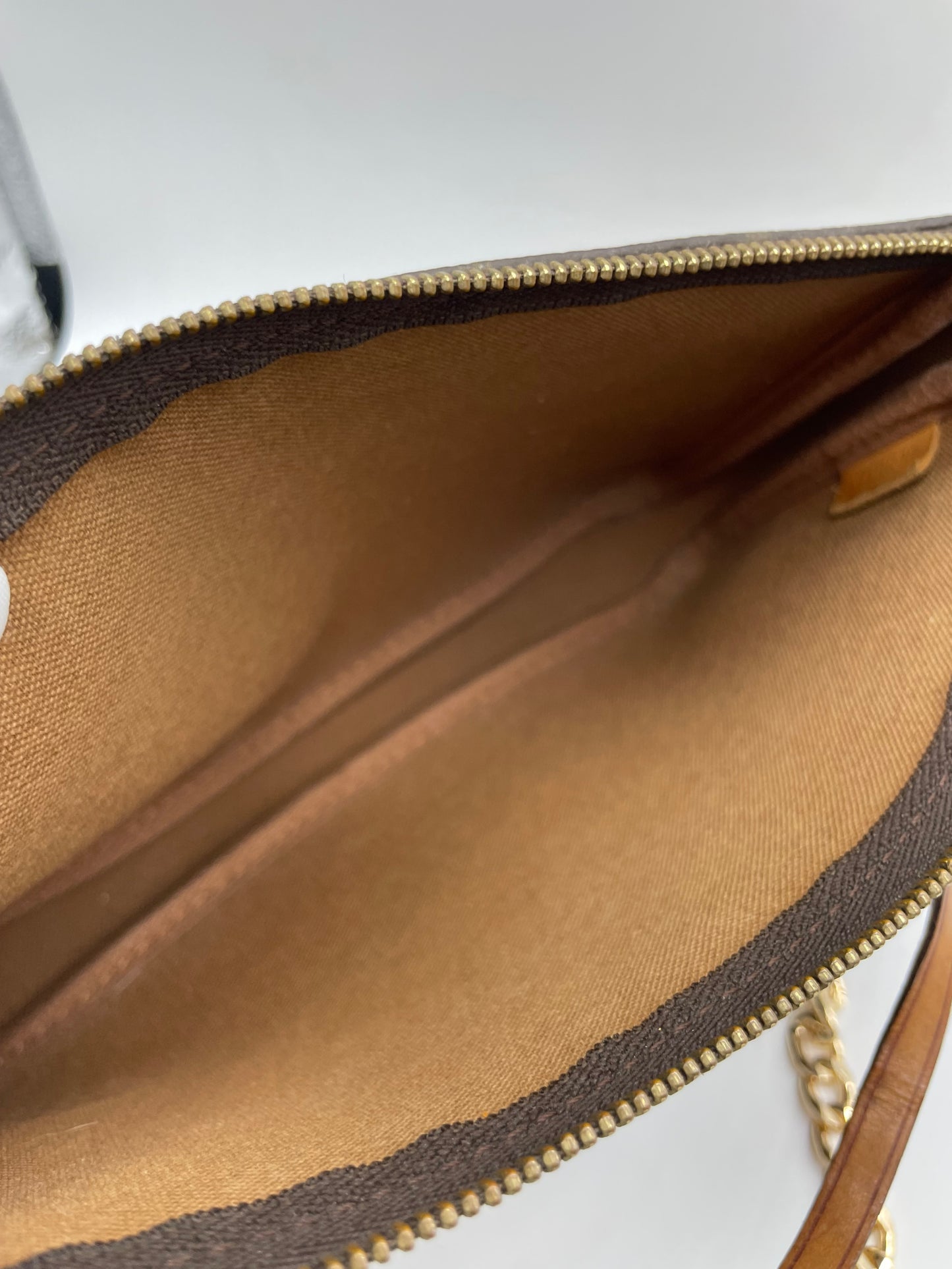 Louis Vuitton Pochette Bag