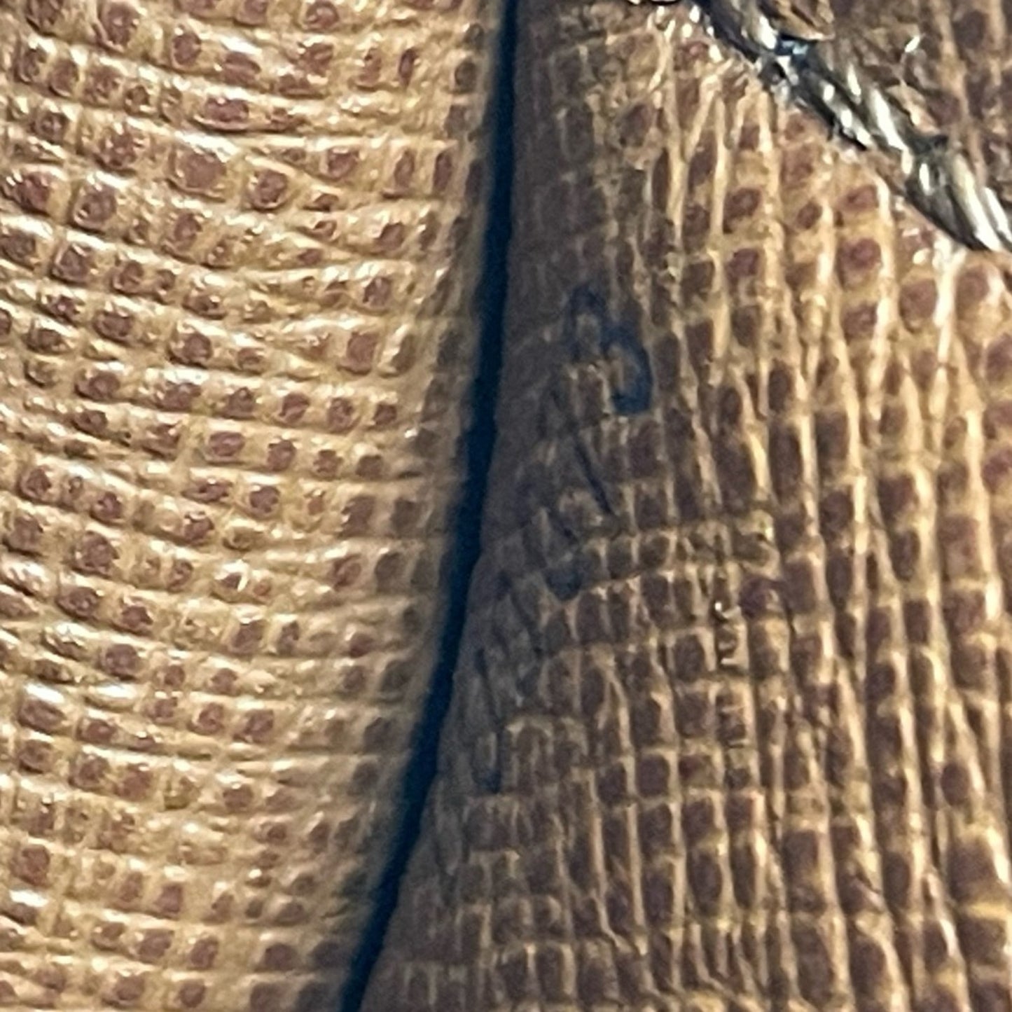 Louis Vuitton Monogram Papillon Handbag