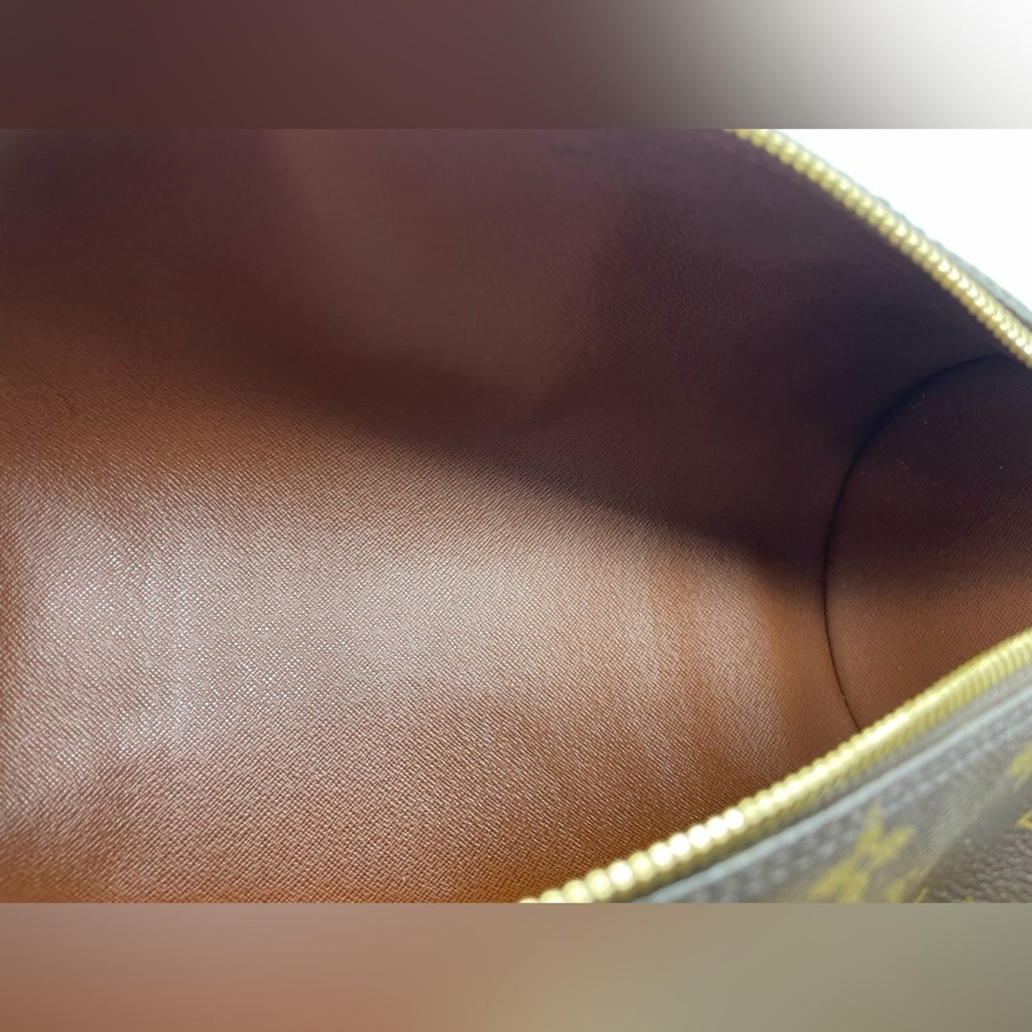 Louis Vuitton Monogram Papillon Handbag