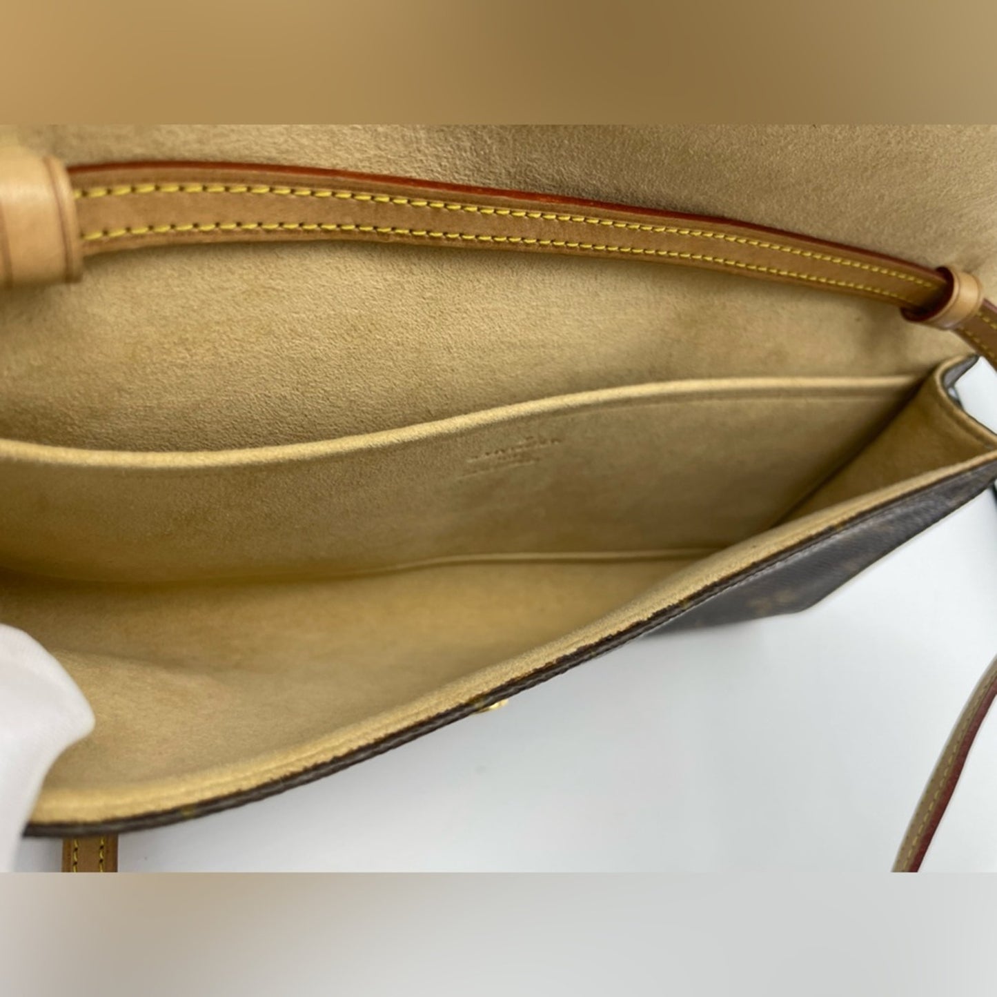 Louis Vuitton Monogram Twin Pochette Sling Bag