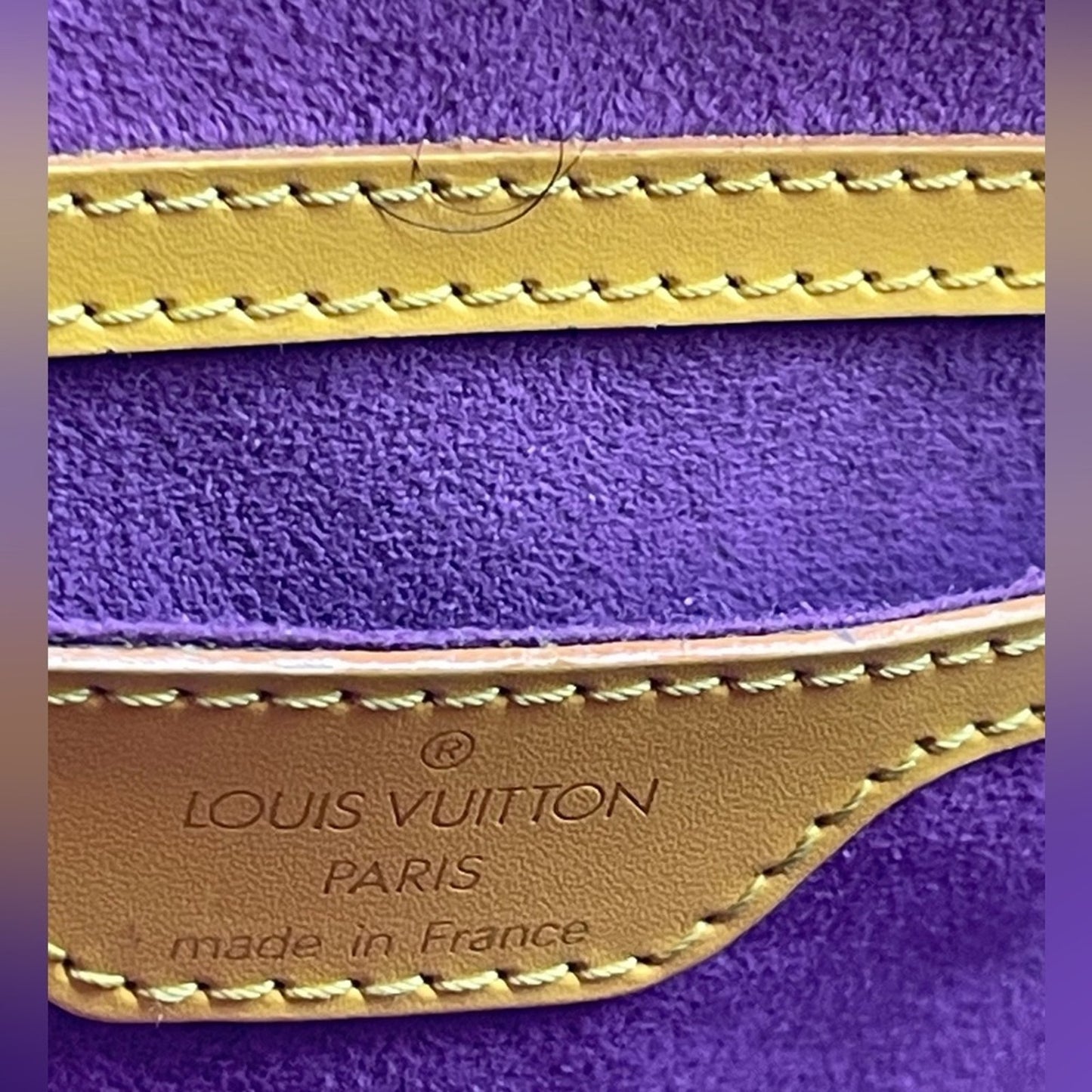 Louis Vuitton Epi Saint Jaques Hand Bag