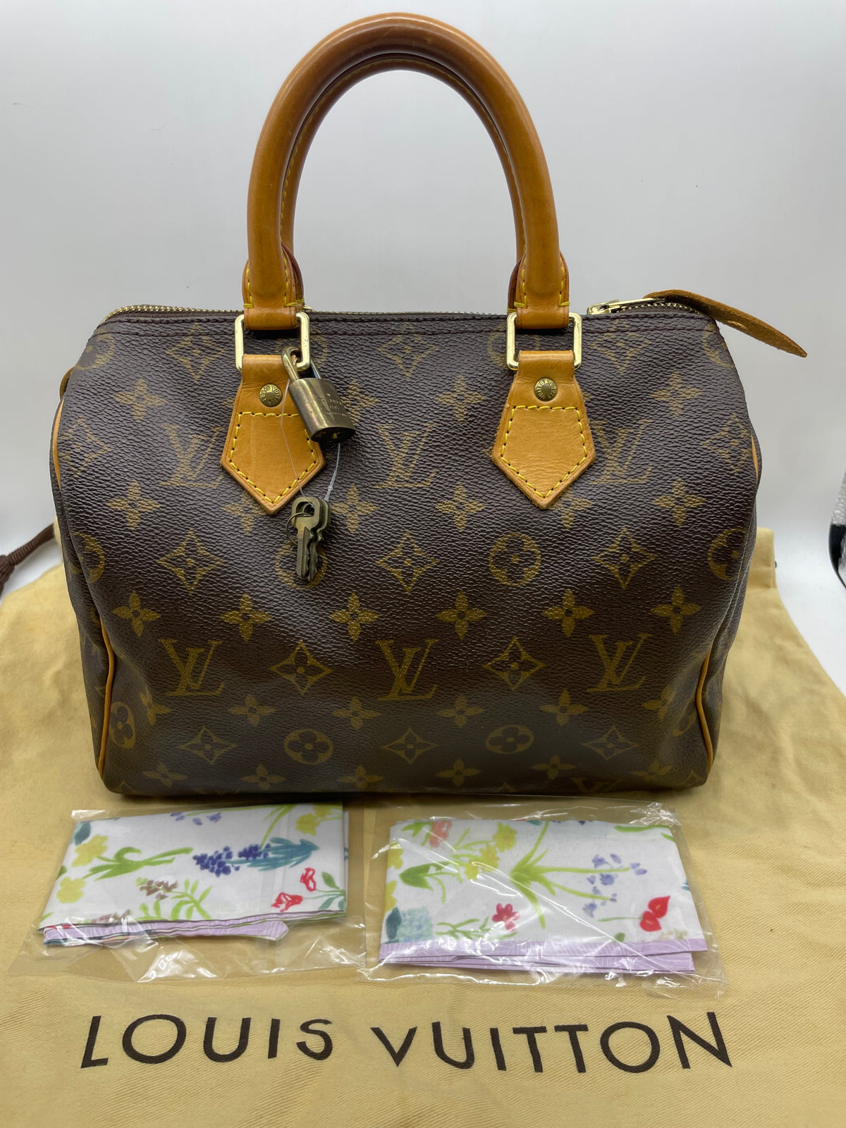 Louis Vuitton Speedy Bag