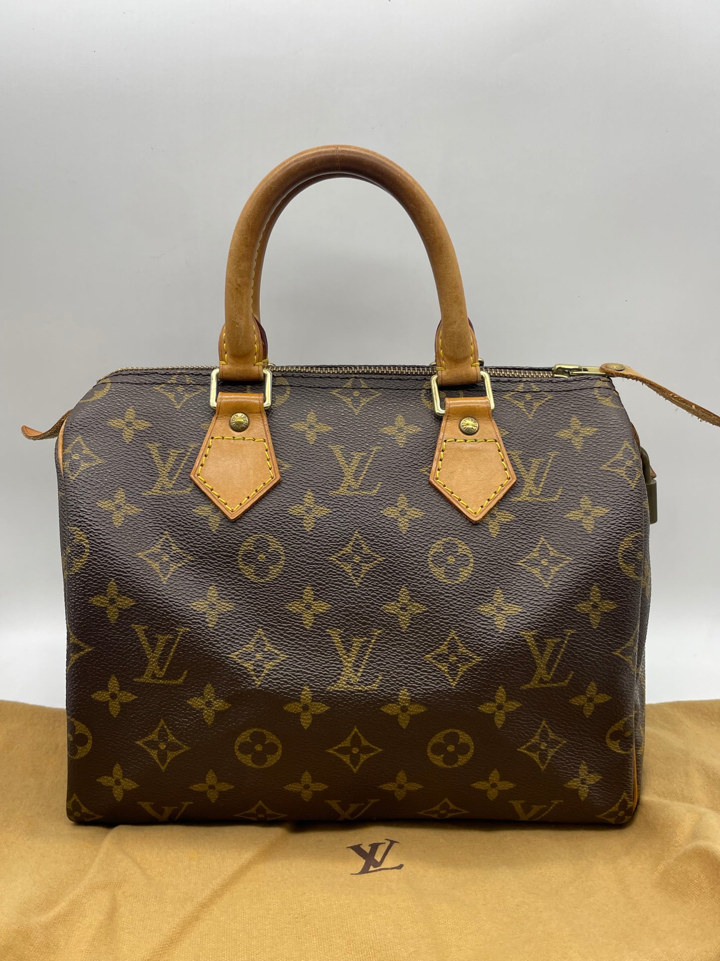 Louis Vuitton Speedy 25